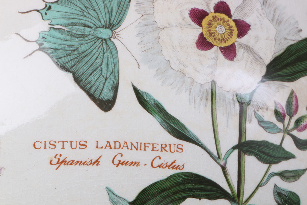 Vintage Portmeirion "The Botanic Garden"  Tableware