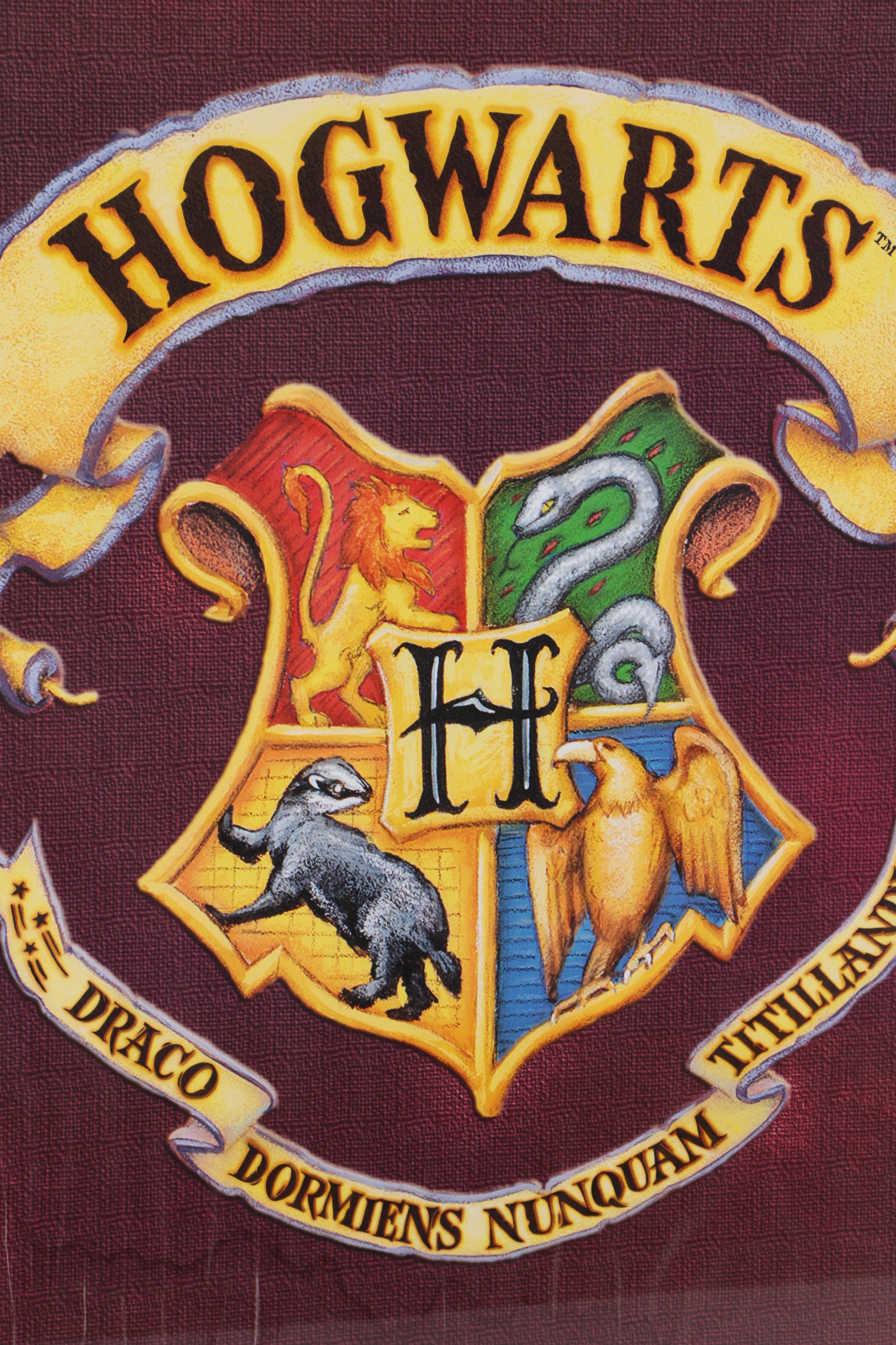 Framed Offset Lithograph of Hogwarts School Crest