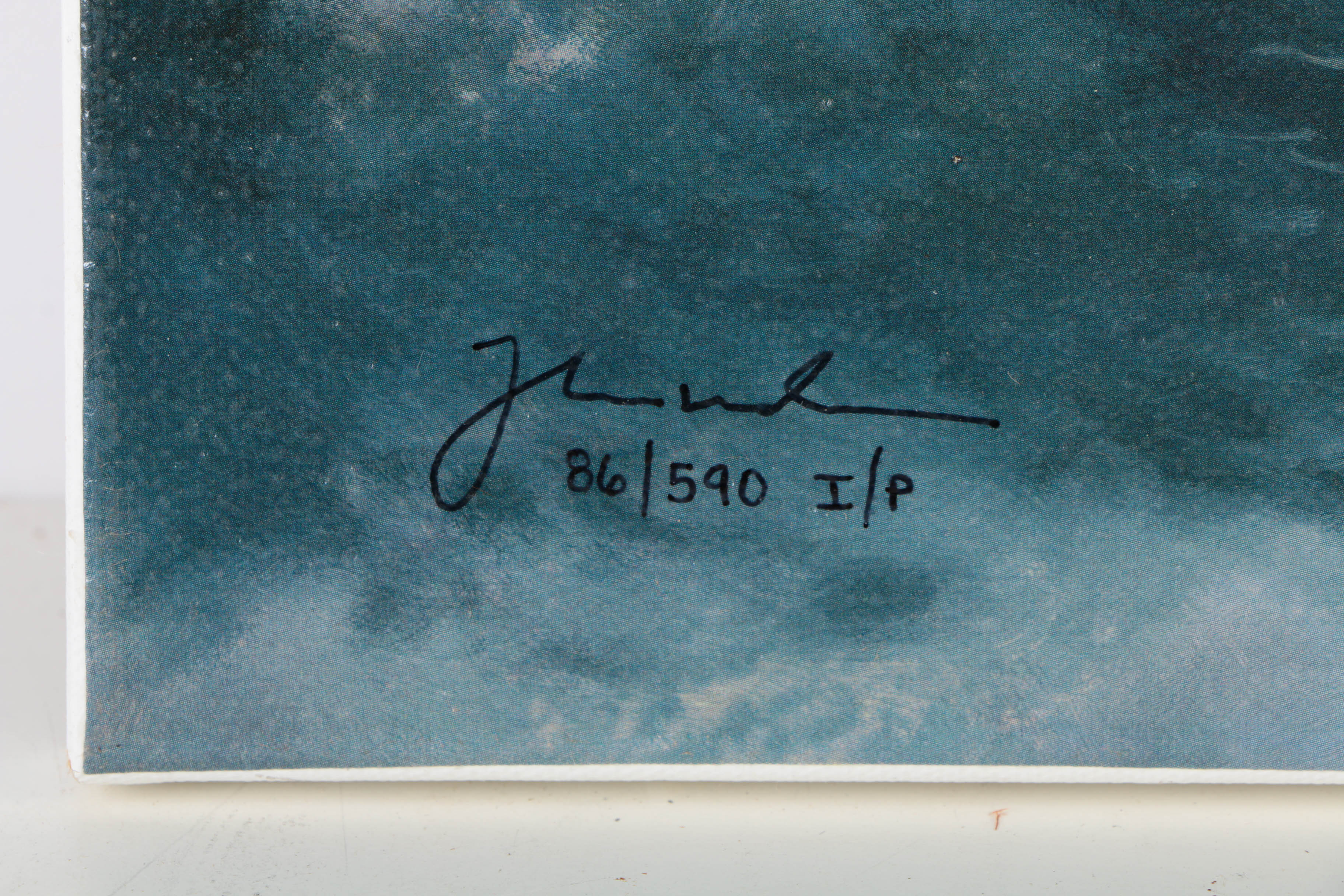 Thomas Kinkade Limited Edition Offset Lithograph on Canvas "Perseverance"