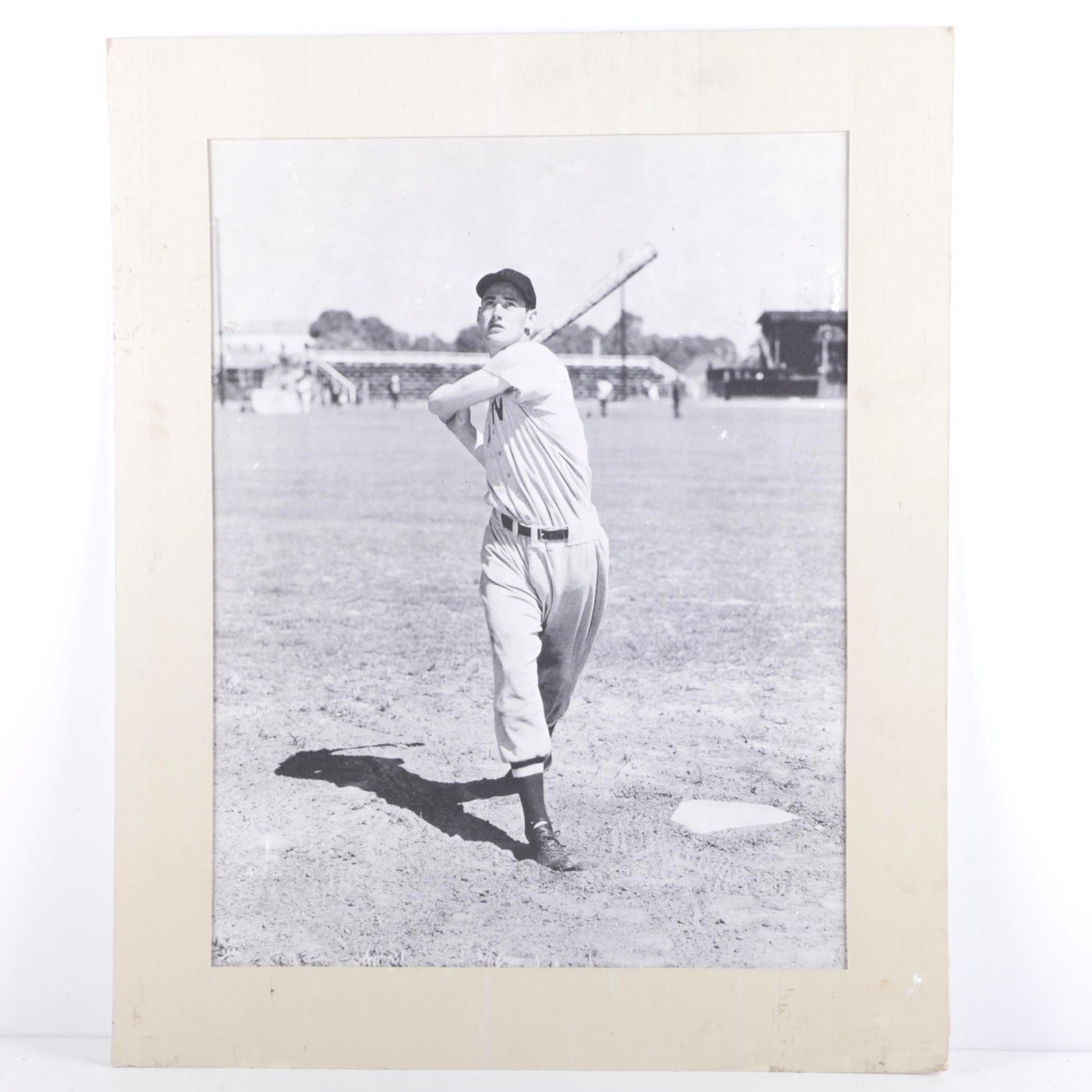 Halftone Dot Print on Paper of Ted Williams