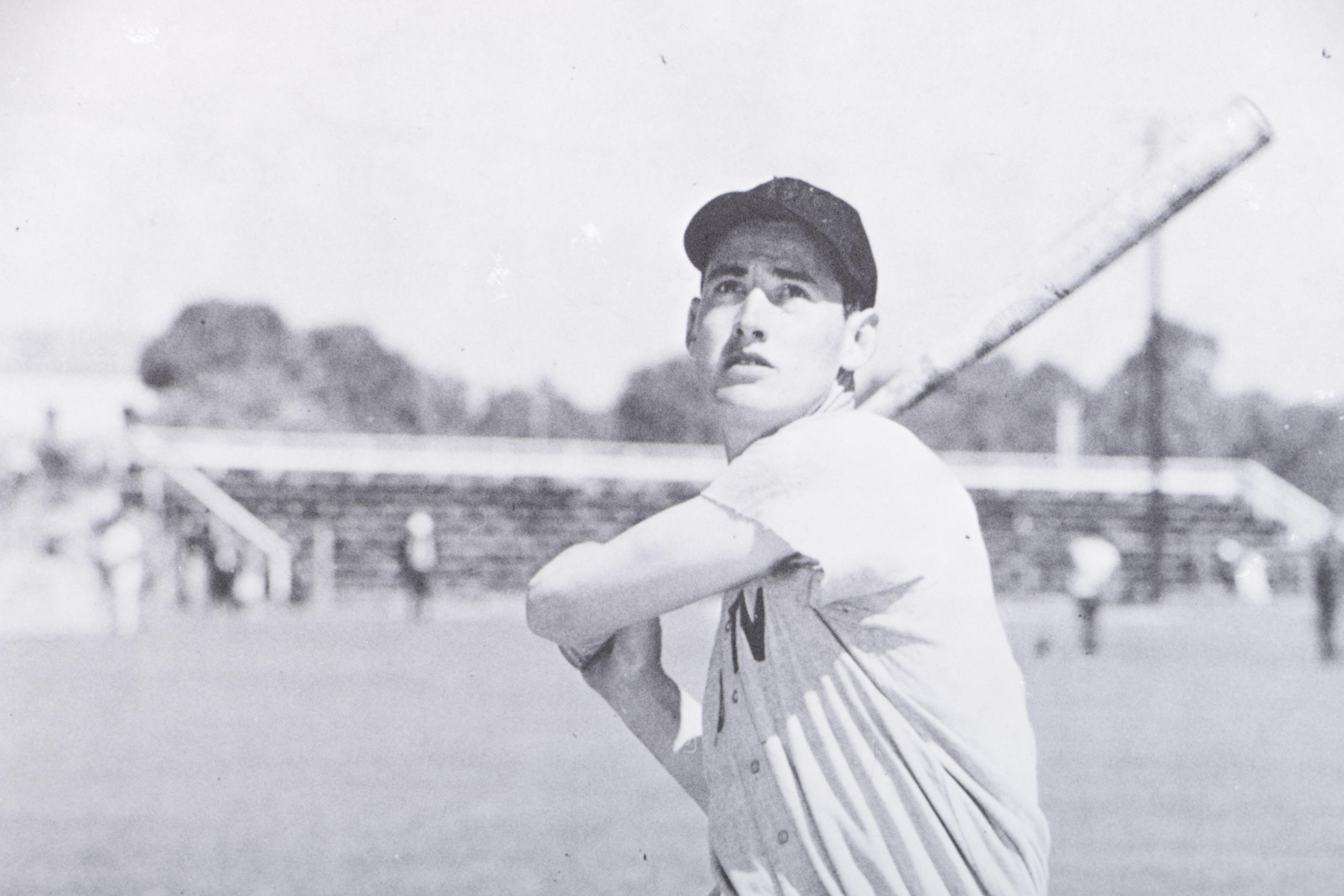 Halftone Dot Print on Paper of Ted Williams