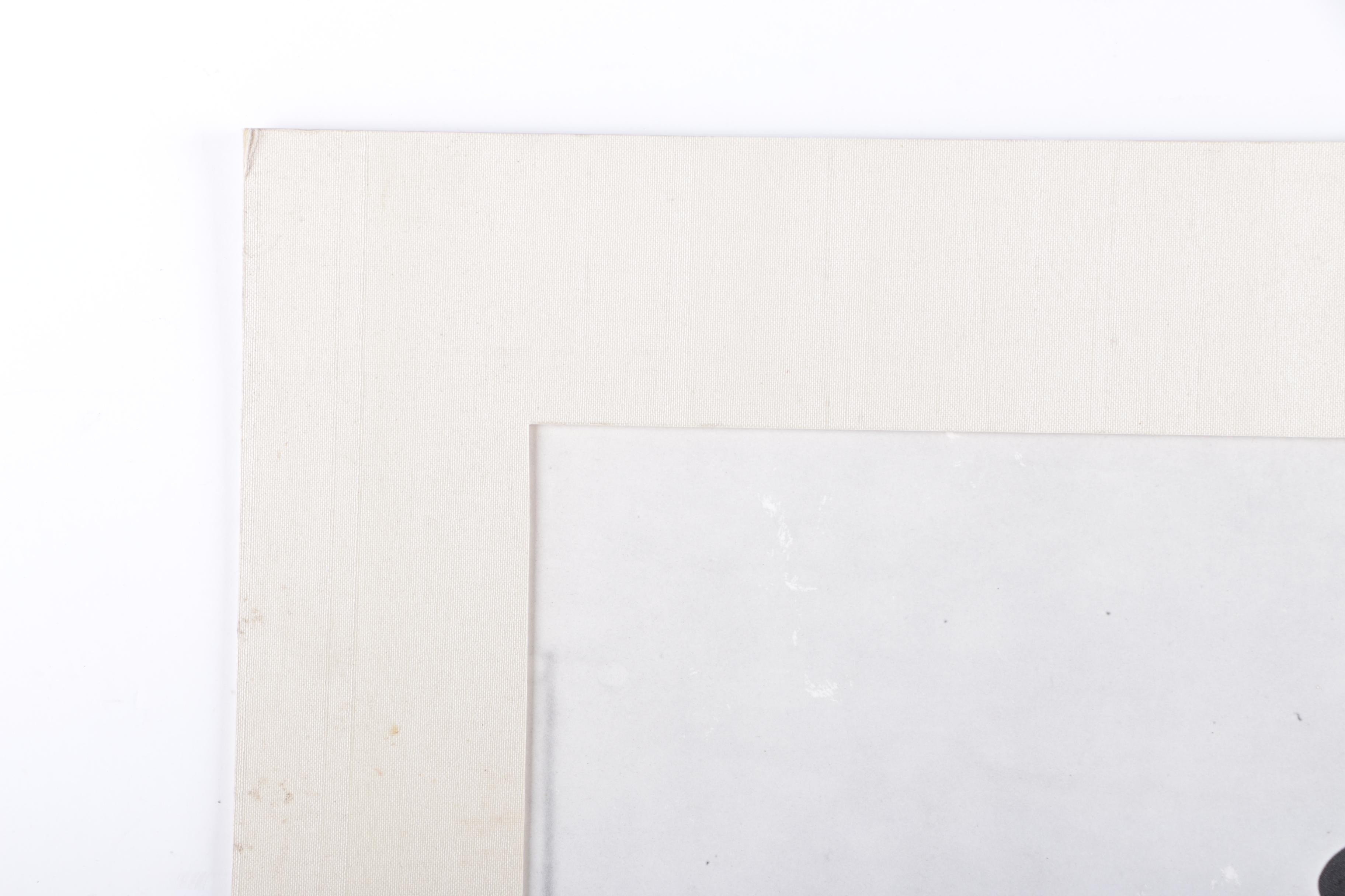 Halftone Dot Print on Paper of Ted Williams