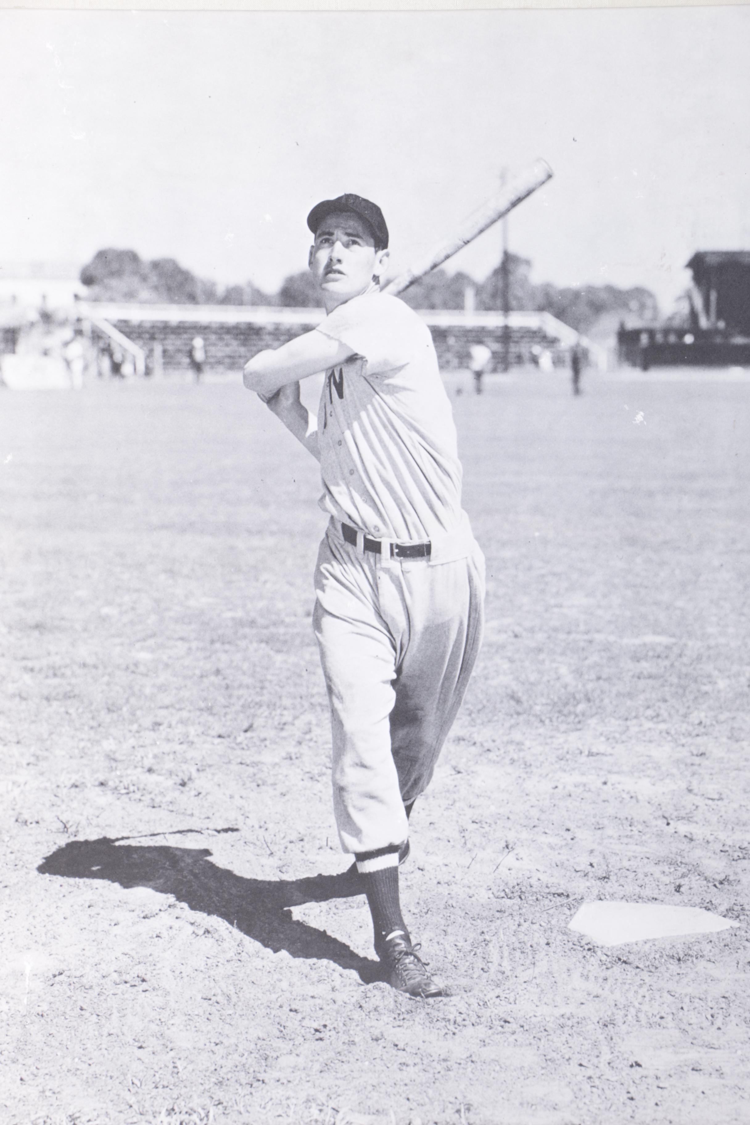 Halftone Dot Print on Paper of Ted Williams