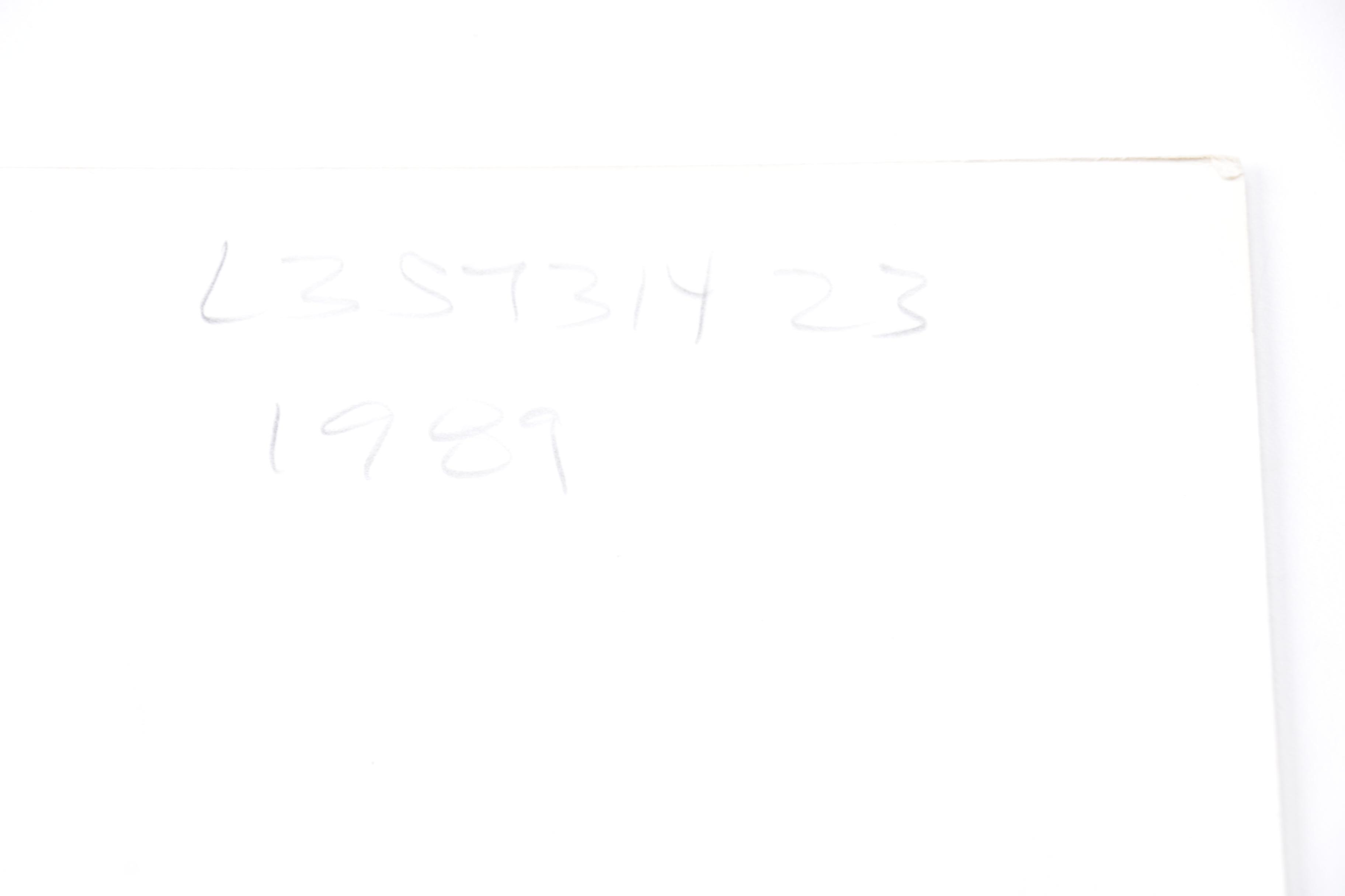 Kareem Abdul-Jabbar and Magic Johnson Los Angeles Lakers Game Photographs