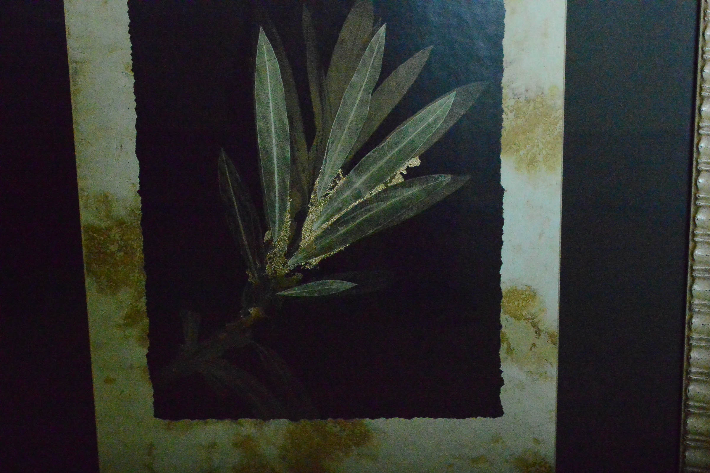 Framed Foiled Leaf Prints