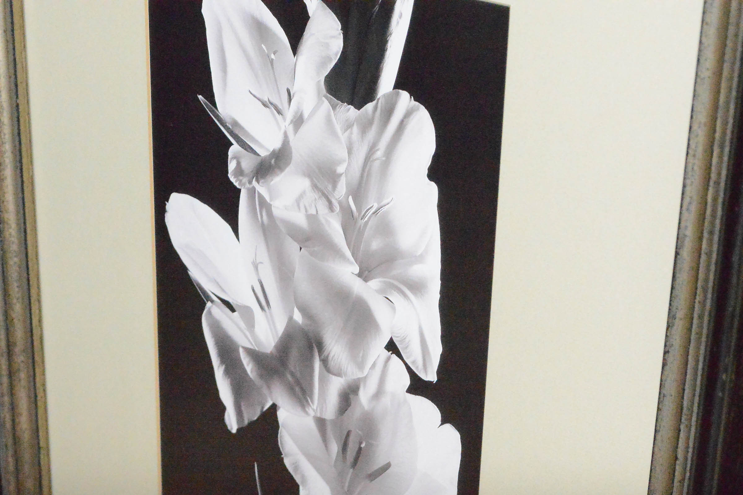 Pair of Floral Prints