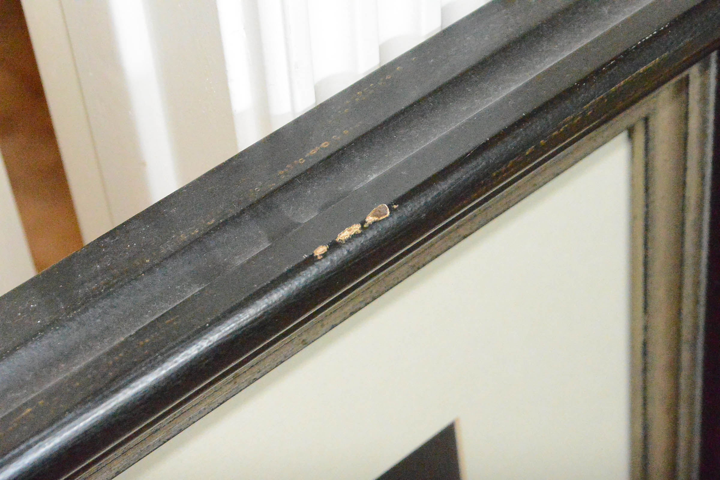 Pair of Floral Prints