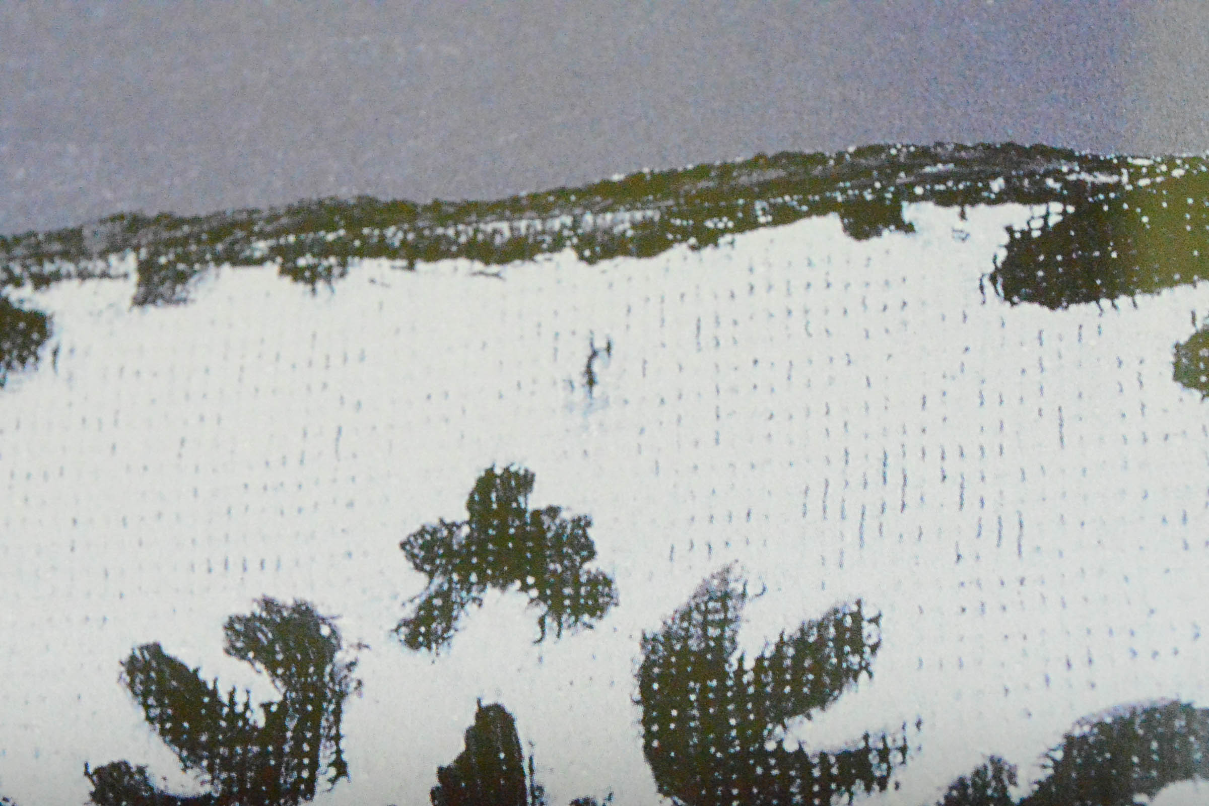 Pair of Framed Prints of Leaves and Floral Motif