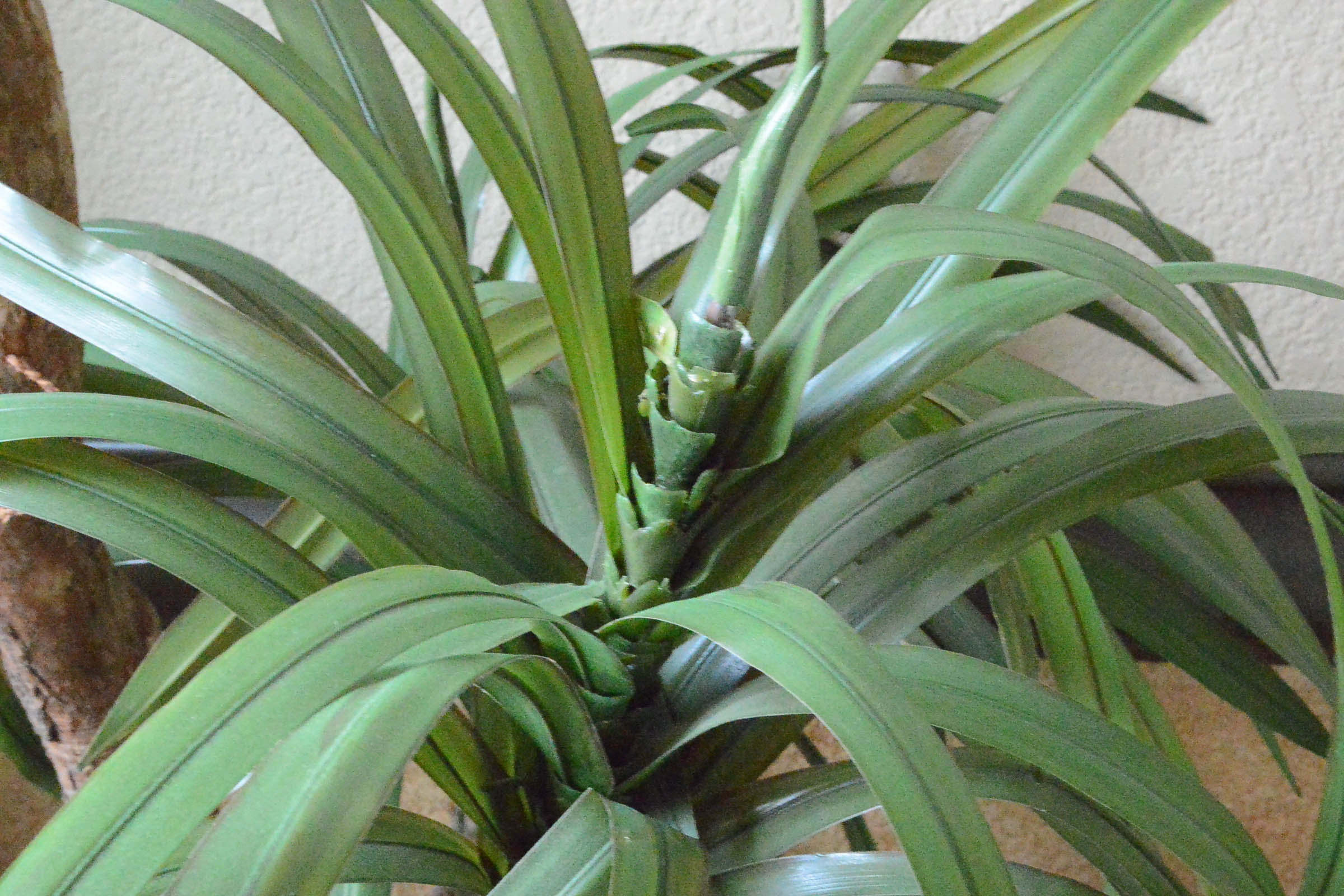 Faux Decorative Palm Tree