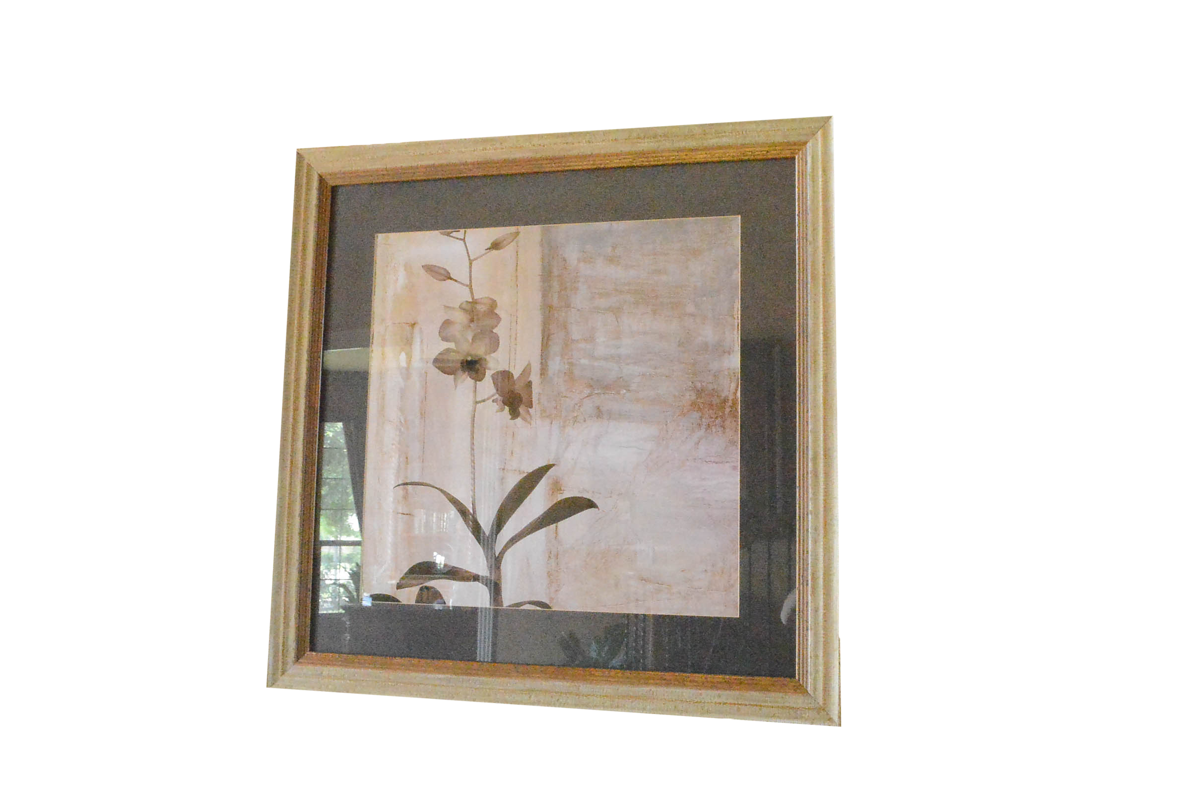 Pair of Decorative Botanical Prints