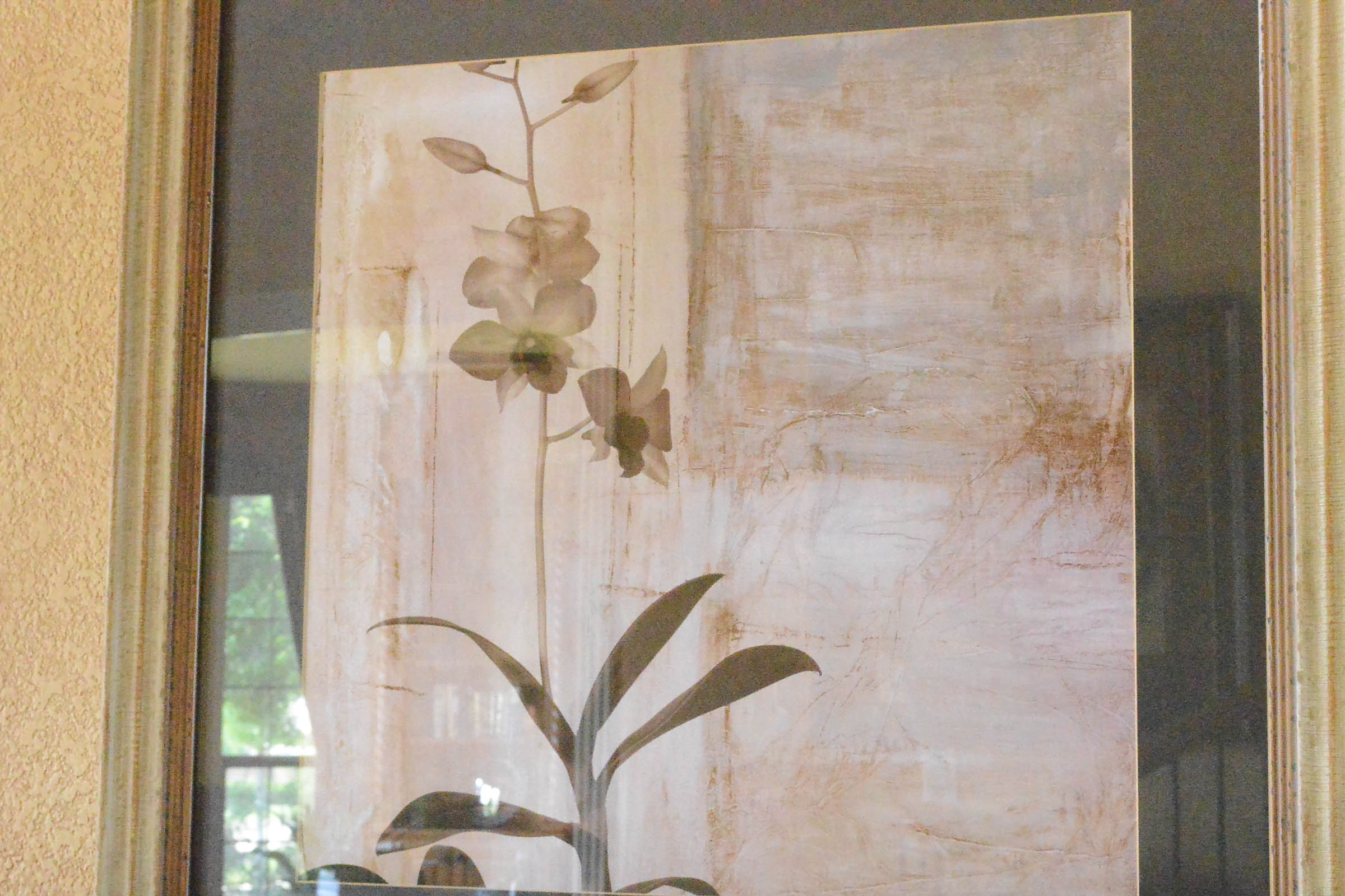 Pair of Decorative Botanical Prints