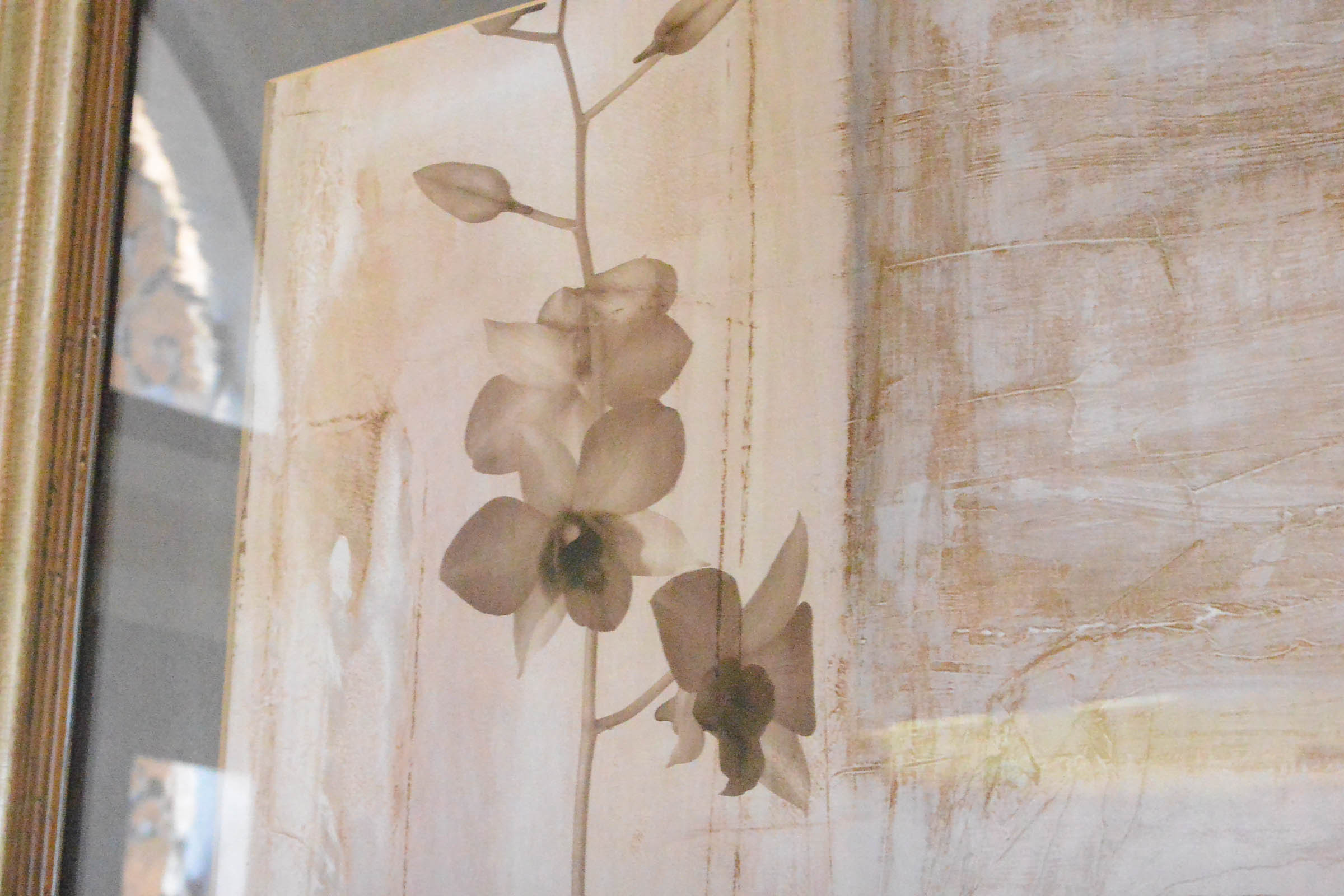 Pair of Decorative Botanical Prints