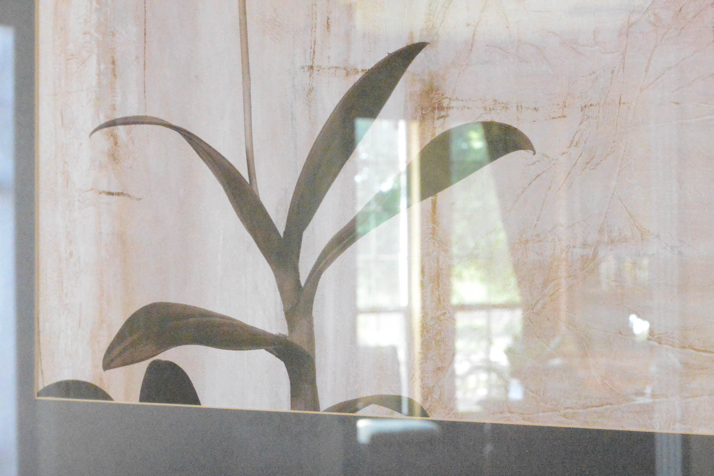 Pair of Decorative Botanical Prints