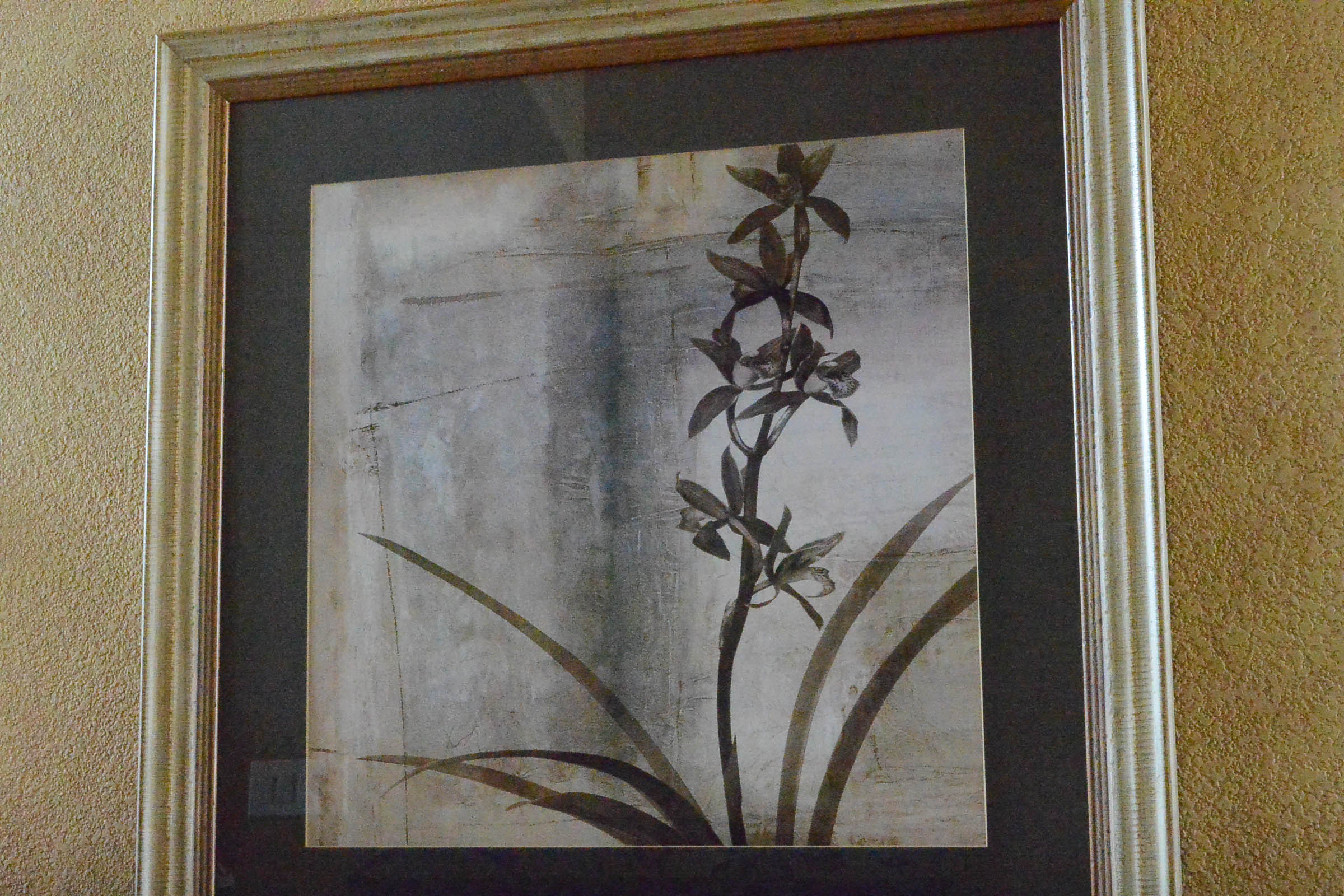 Pair of Decorative Botanical Prints