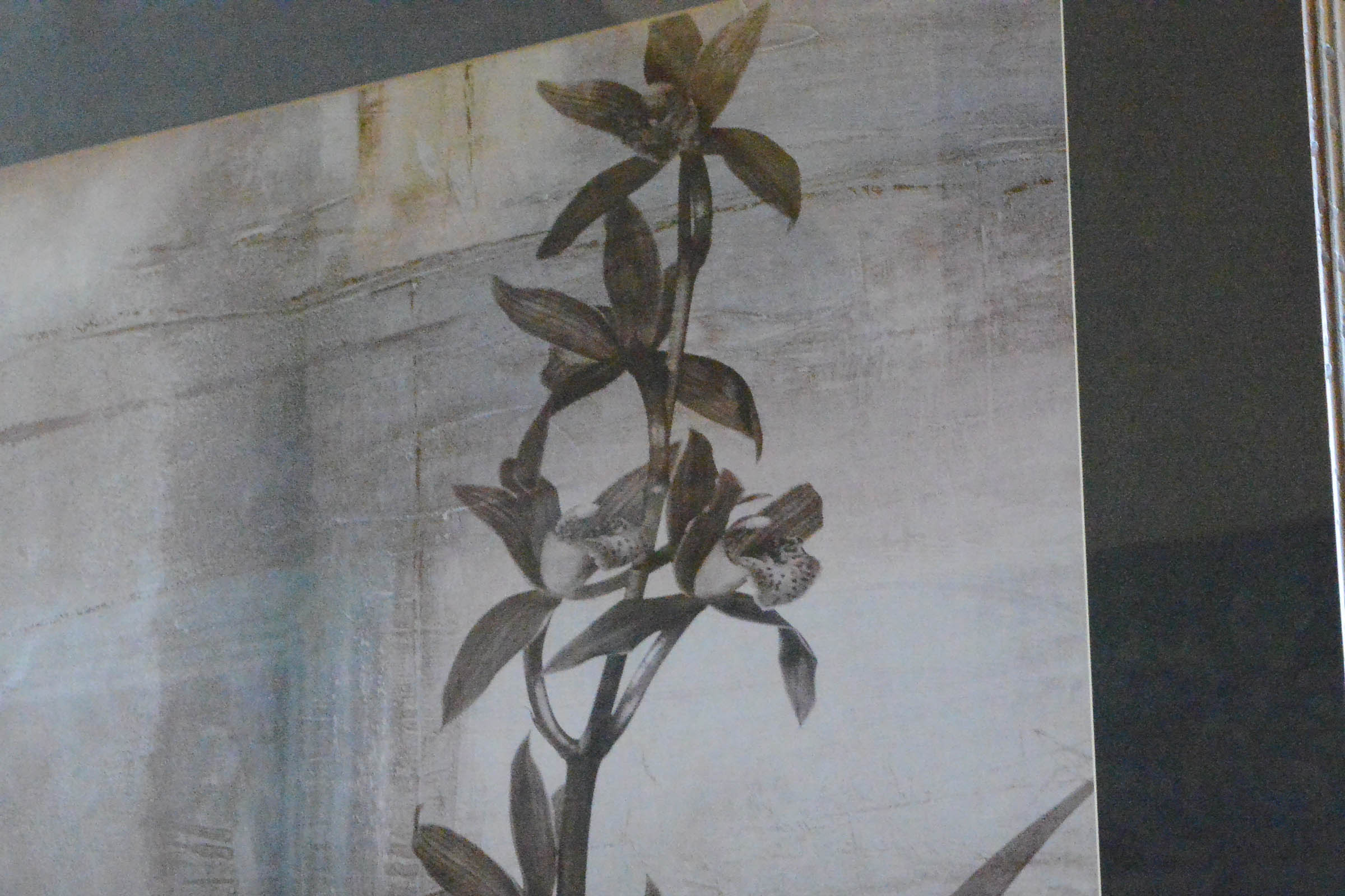 Pair of Decorative Botanical Prints