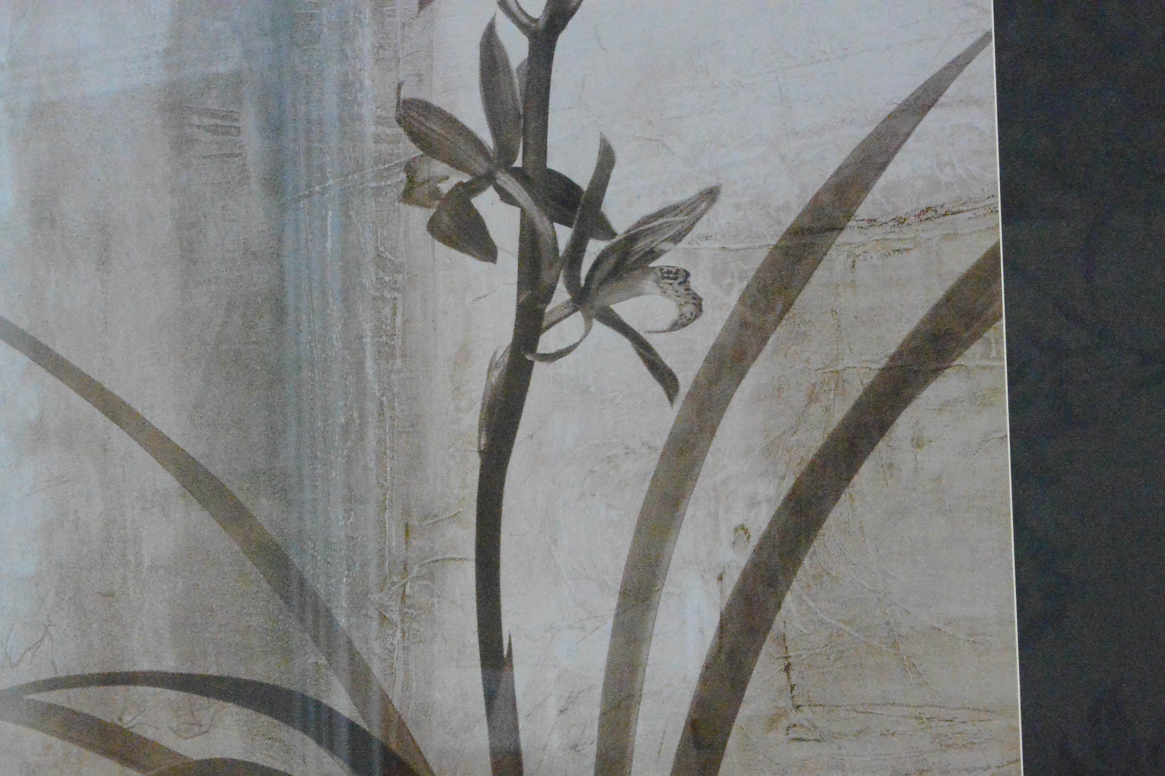 Pair of Decorative Botanical Prints