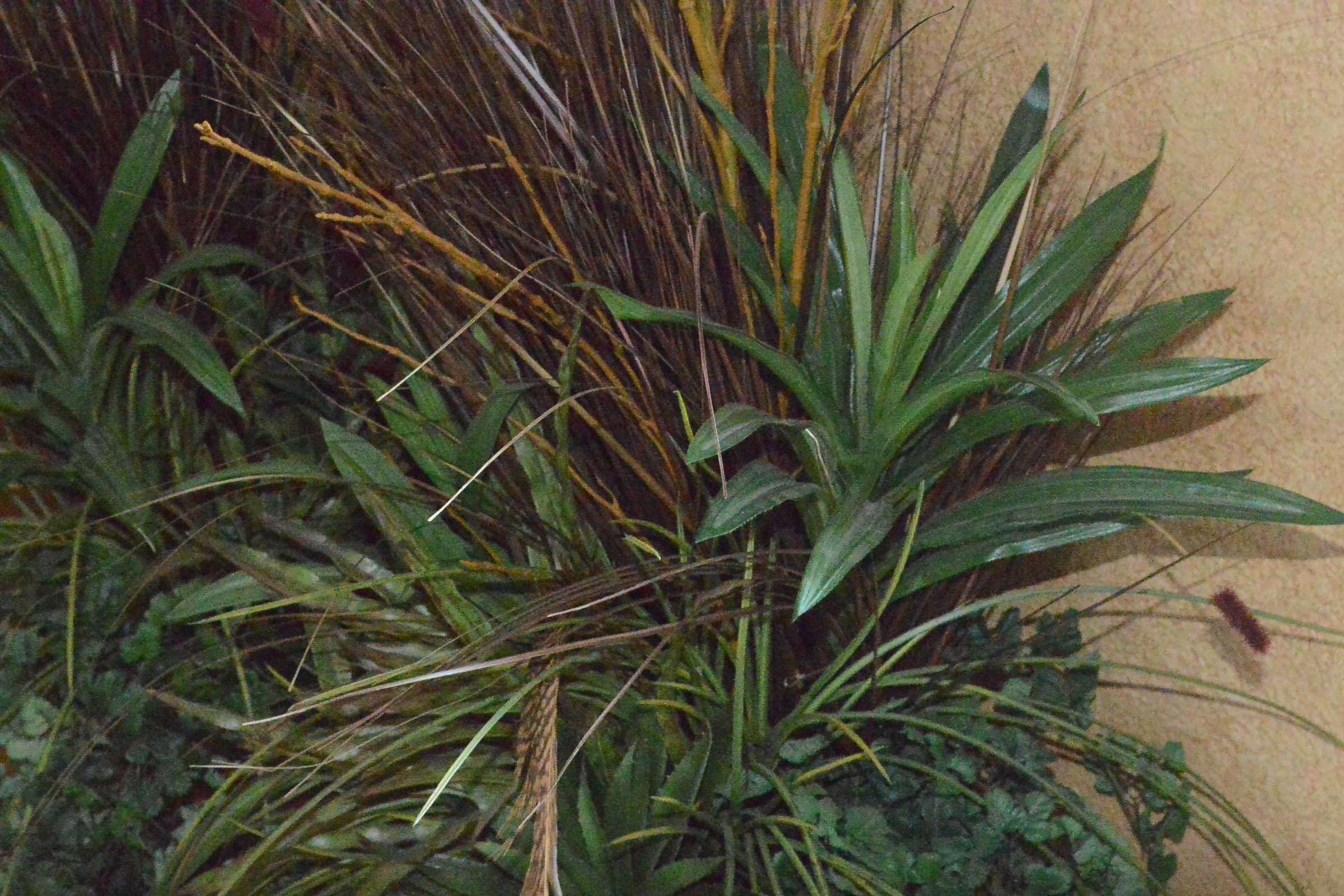 Pair of Decorative Foliate Arrangements