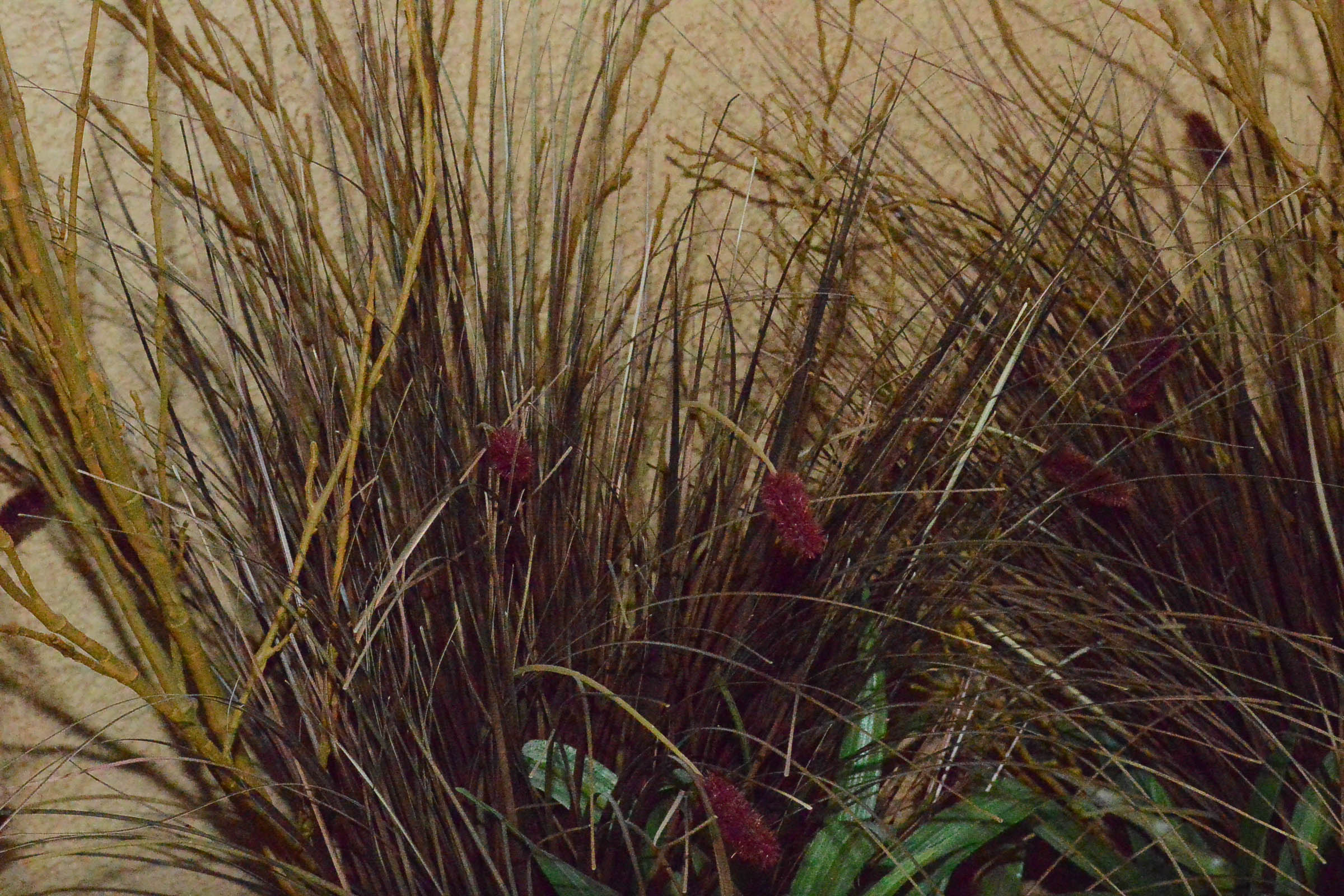 Pair of Decorative Foliate Arrangements