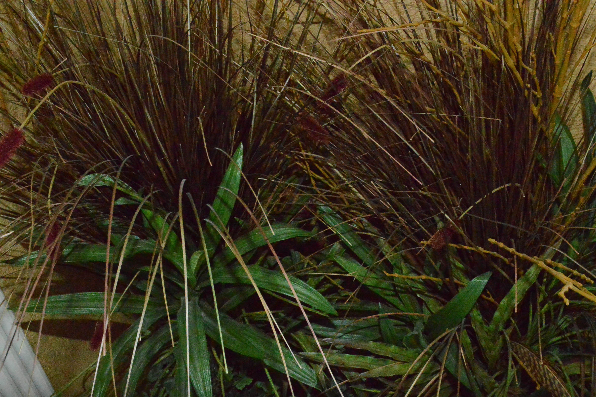 Pair of Decorative Foliate Arrangements