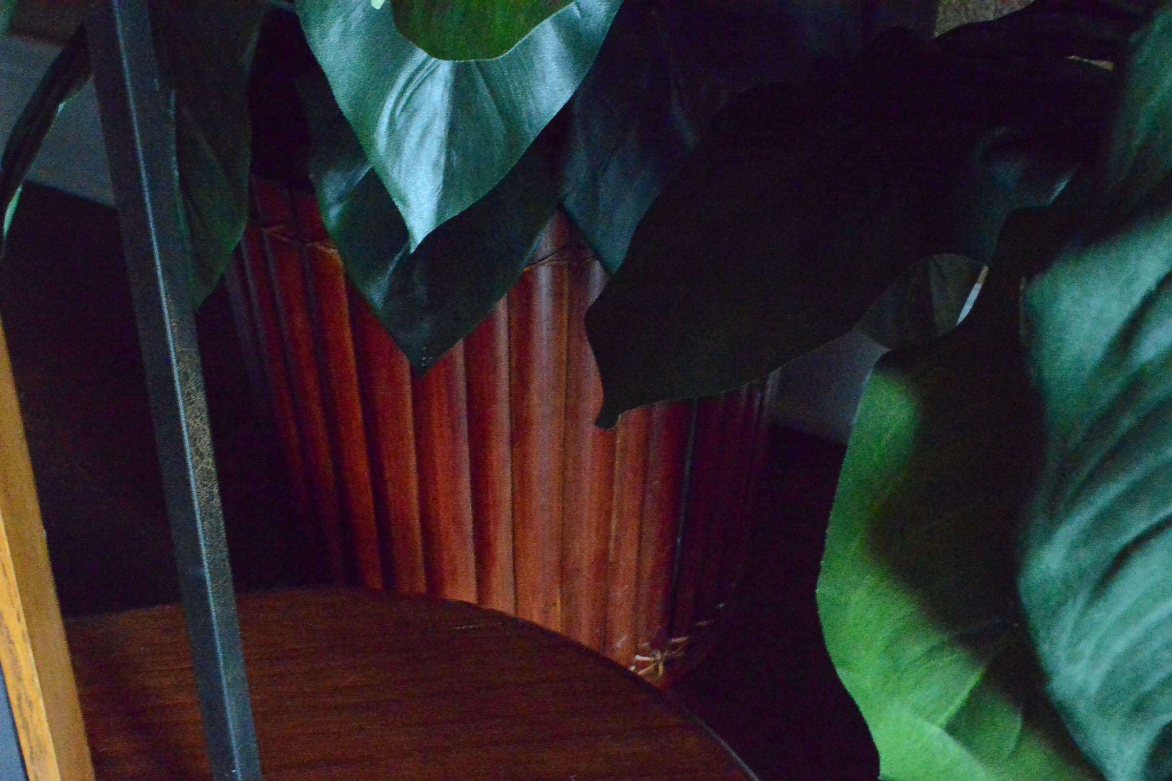 Pair of Large Faux Plants