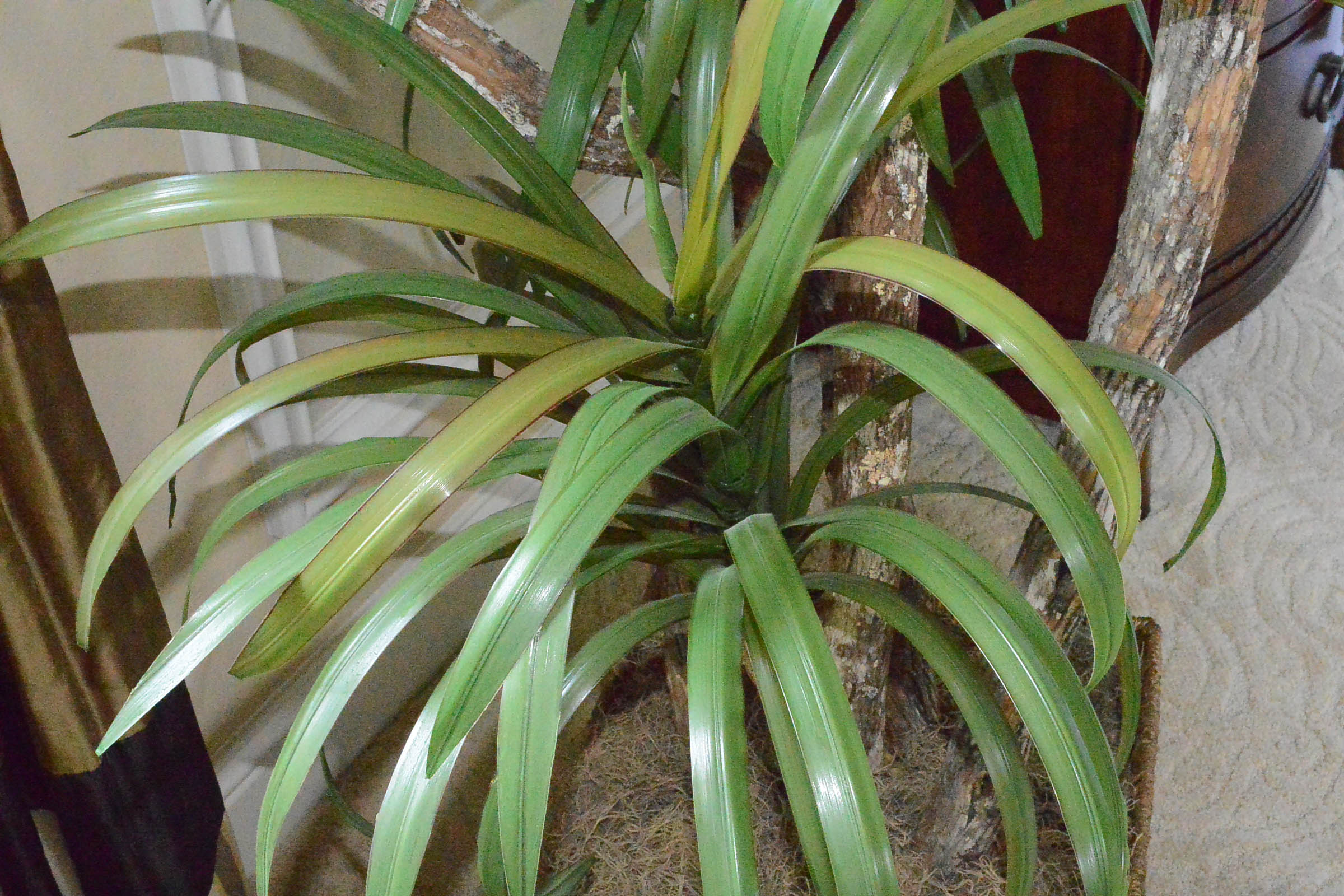 Faux Green Palm Tree