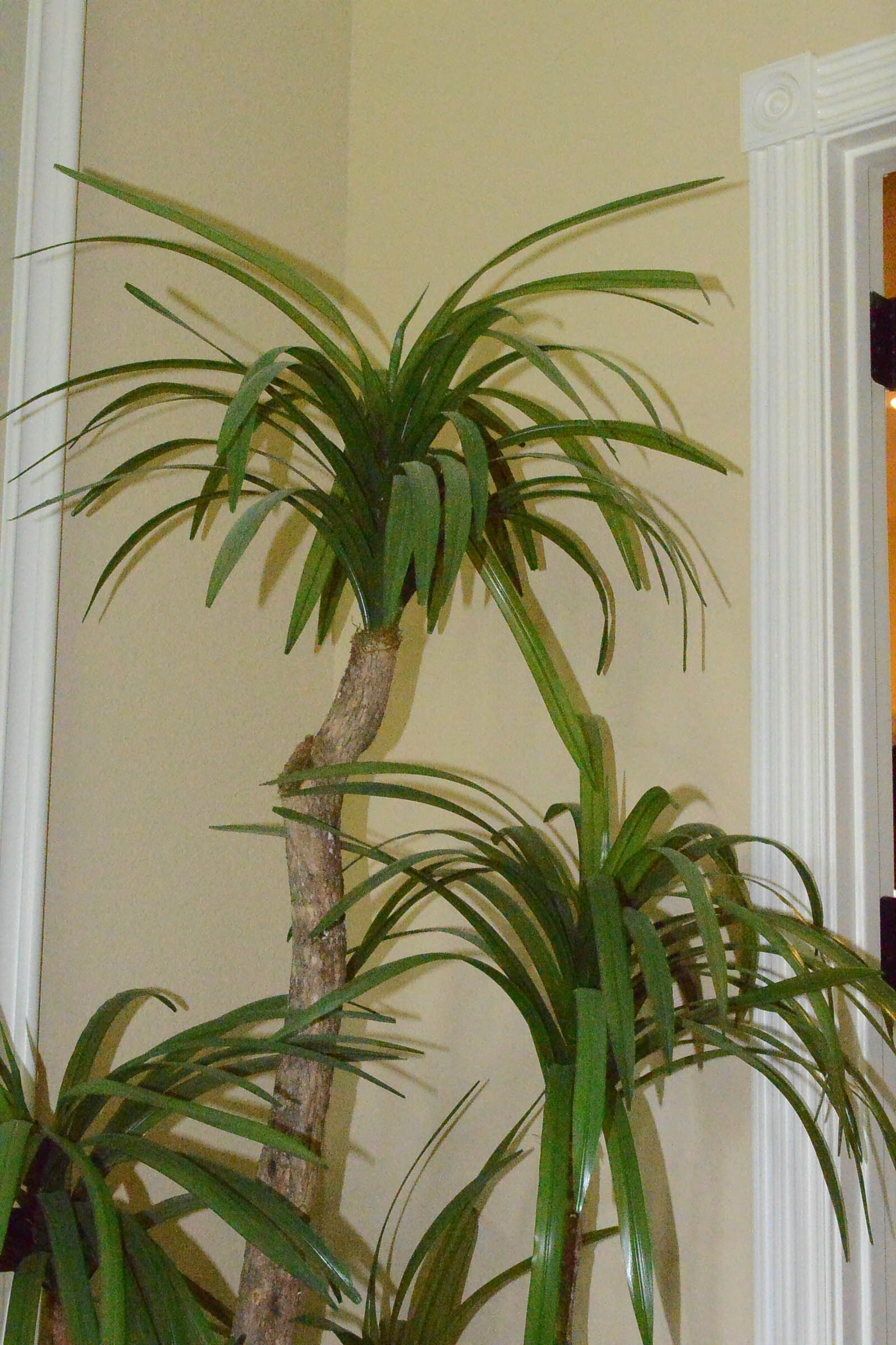 Tall Faux Tree in Basket