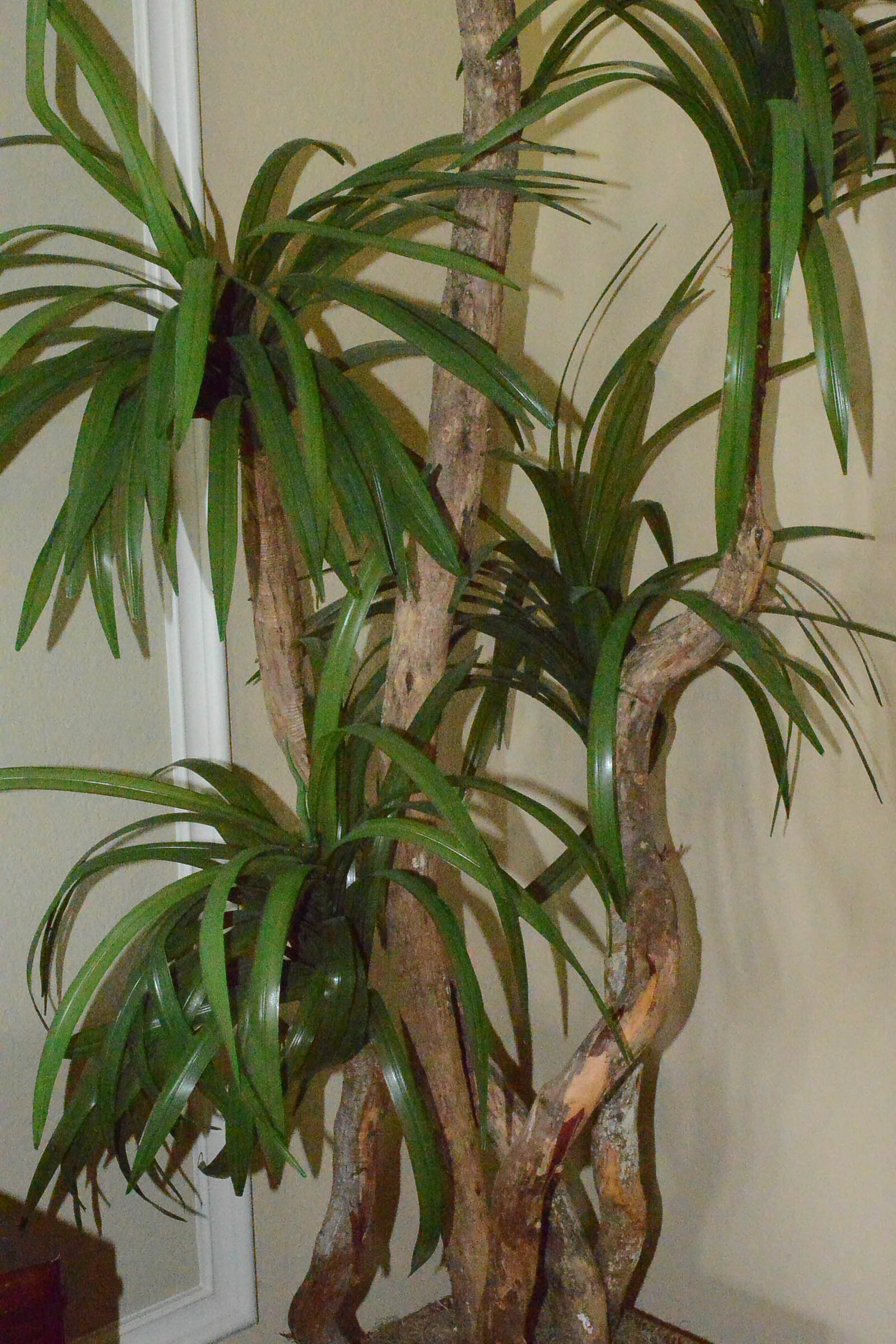 Tall Faux Tree in Basket