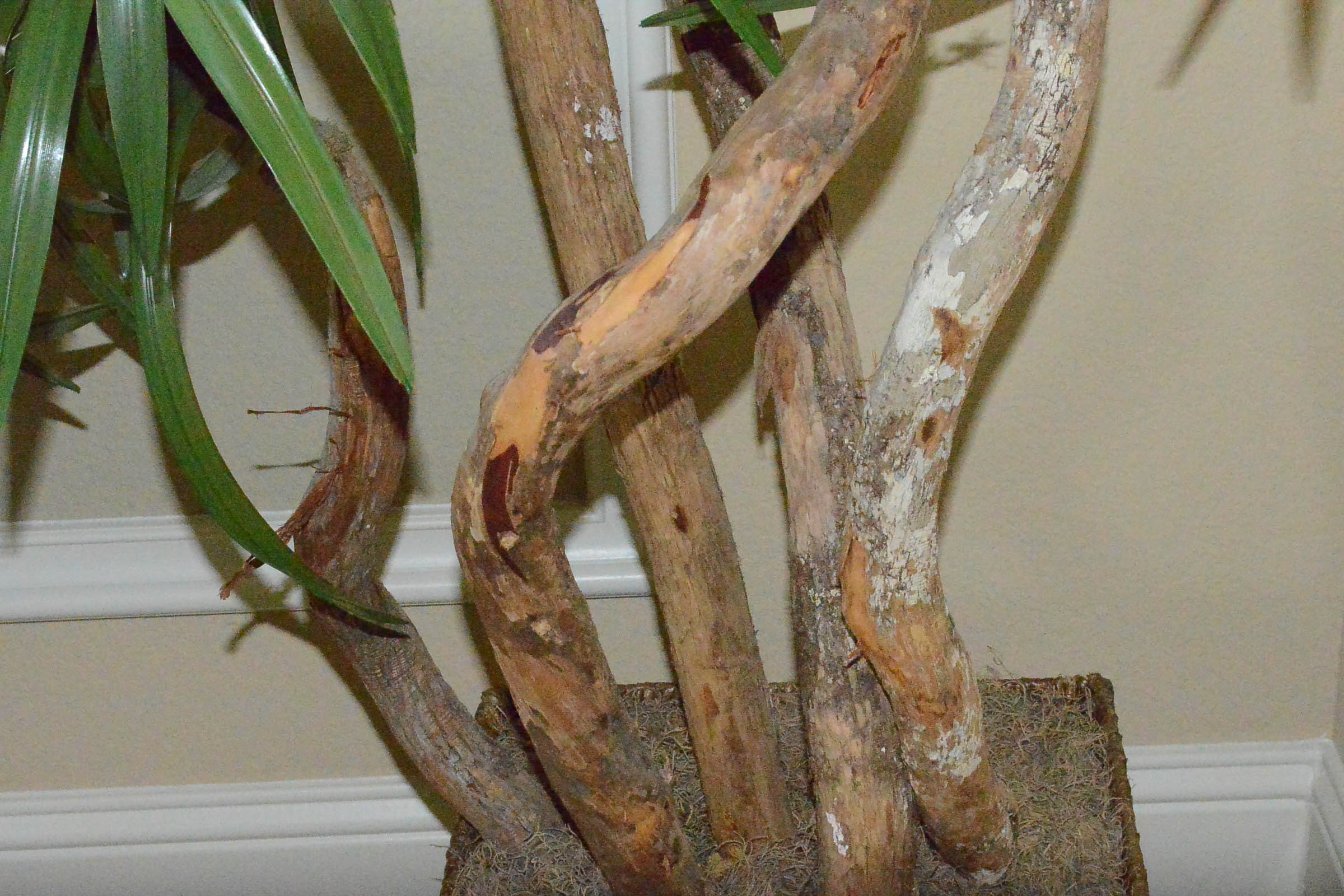 Tall Faux Tree in Basket