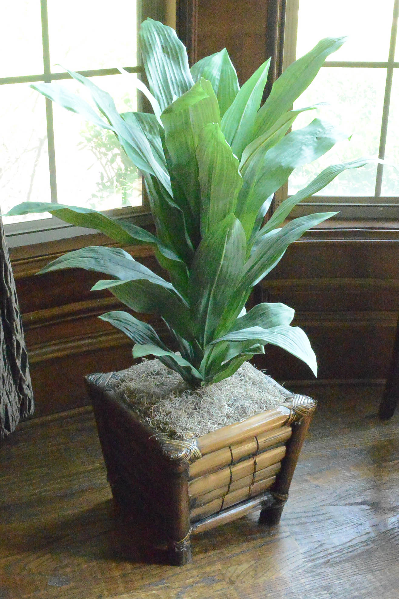 Faux Plant in Planter
