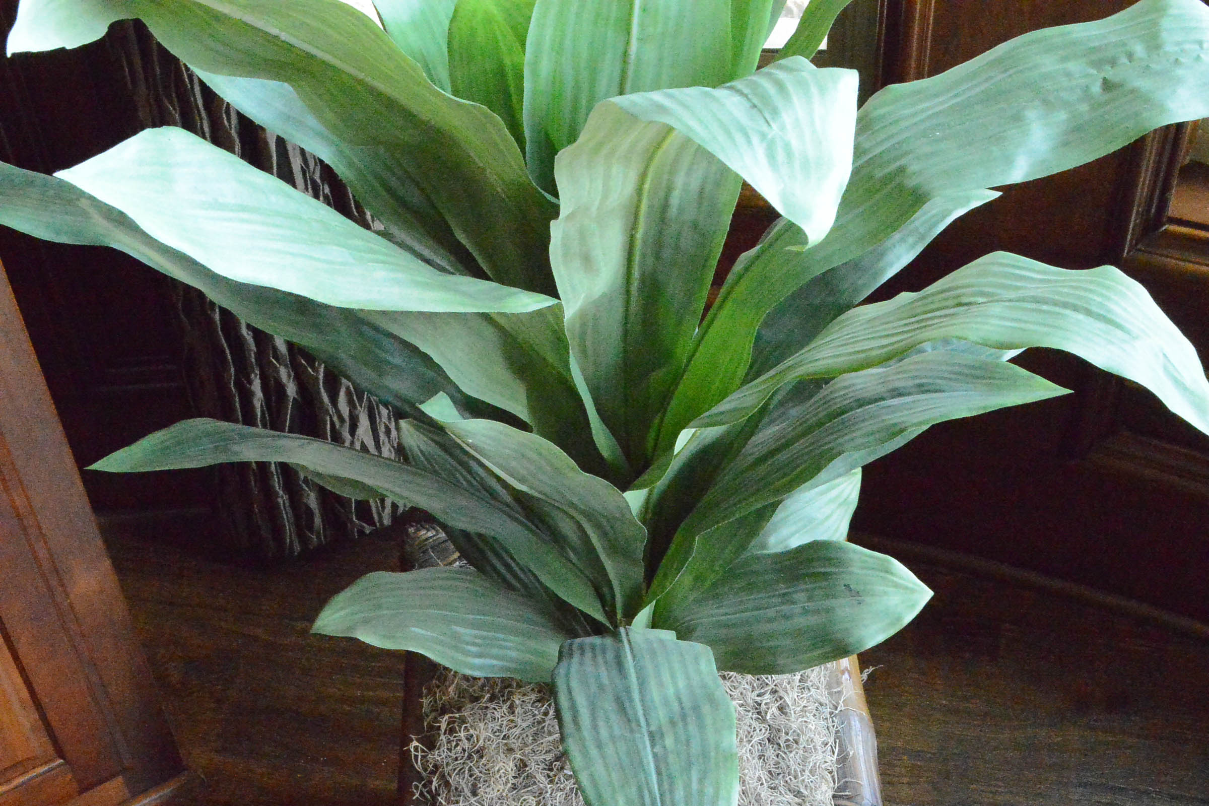 Faux Plant in Planter