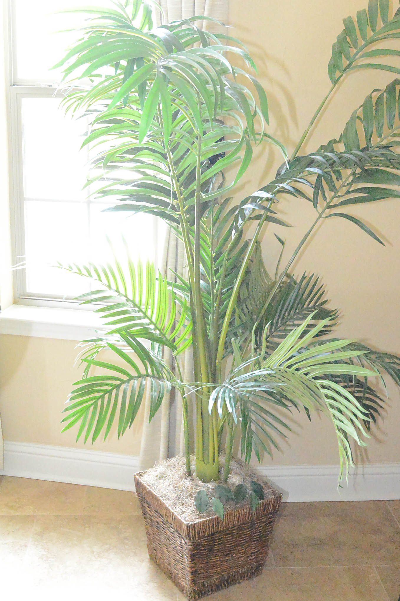Faux Tree in Square Planter