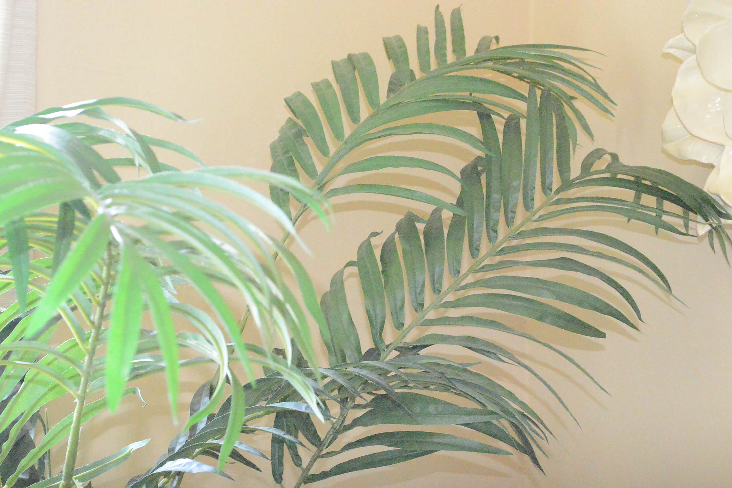 Faux Tree in Square Planter