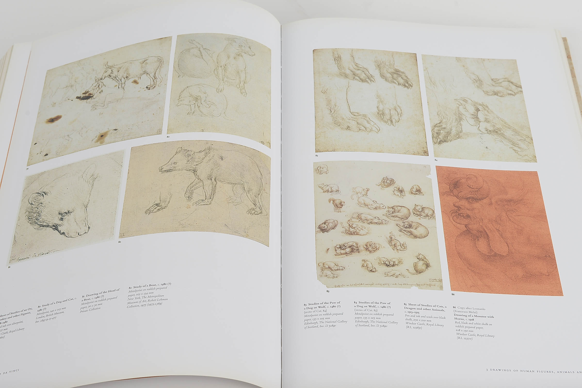 Set of Two Coffee Table Books: "Italy" and "Leonardo da Vinci"