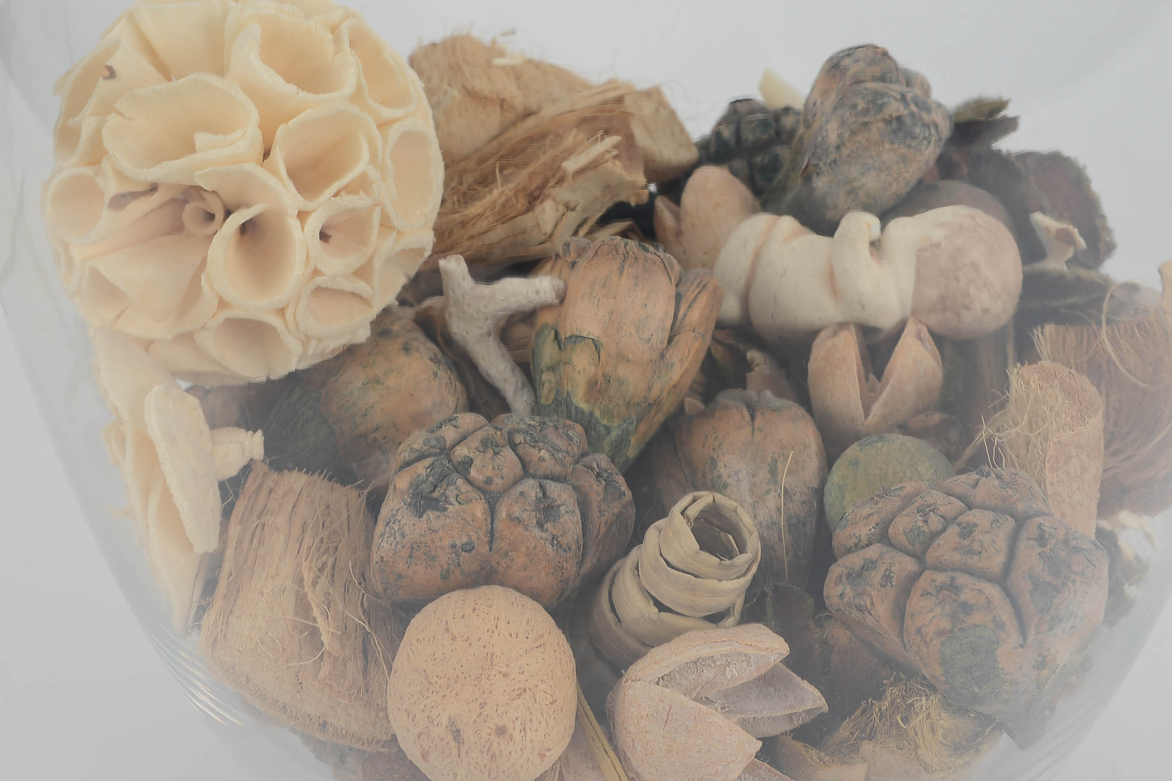 Pair of Large Glass Vases with Natural Decor