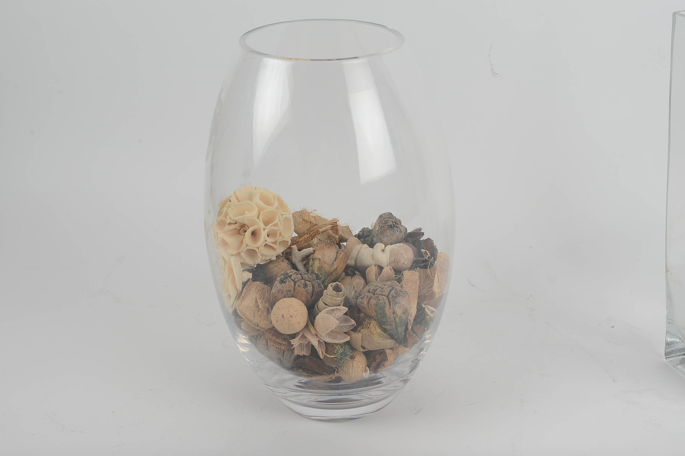 Pair of Large Glass Vases with Natural Decor