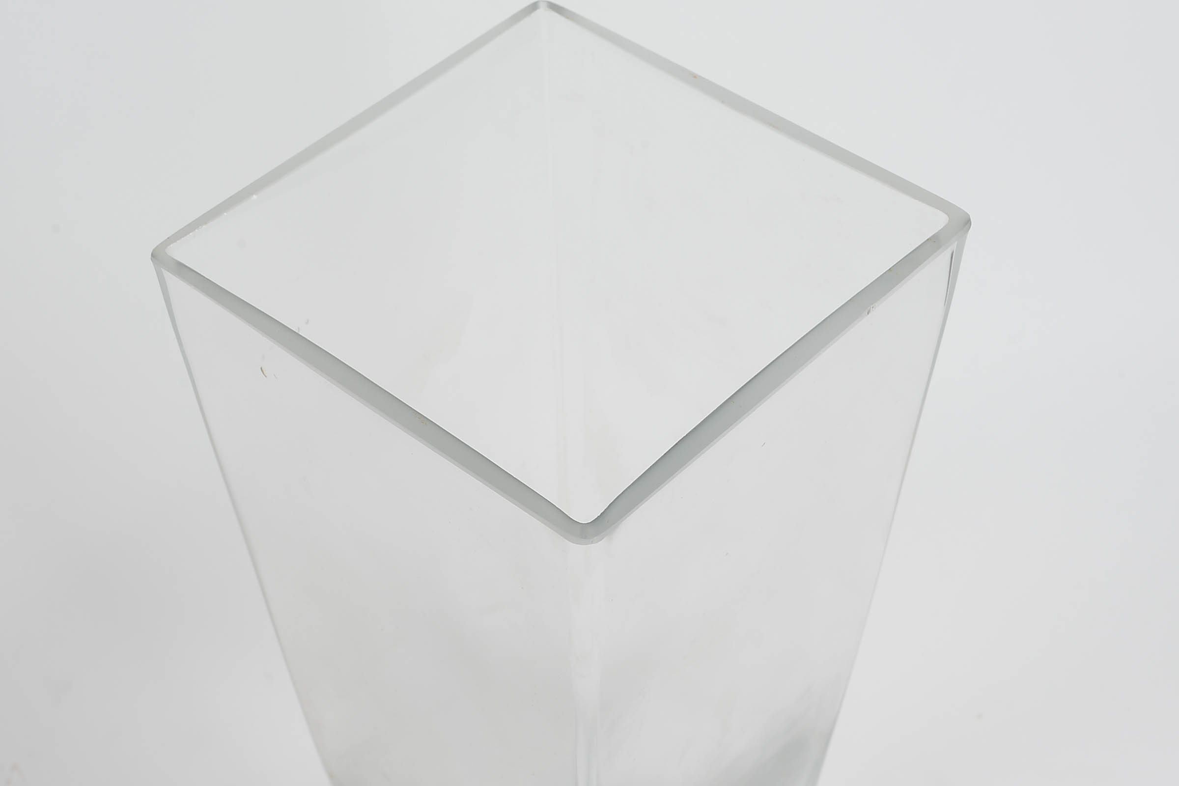 Pair of Large Glass Vases with Natural Decor