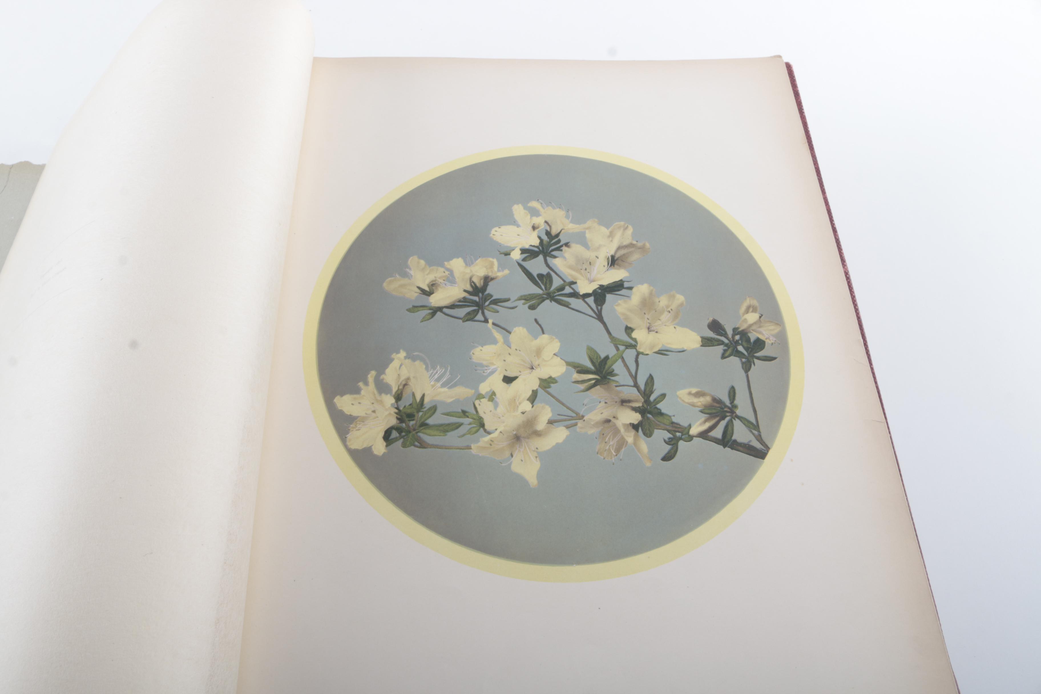 Antique Japan Described and Illustrated Books by J.B. Millet Co.