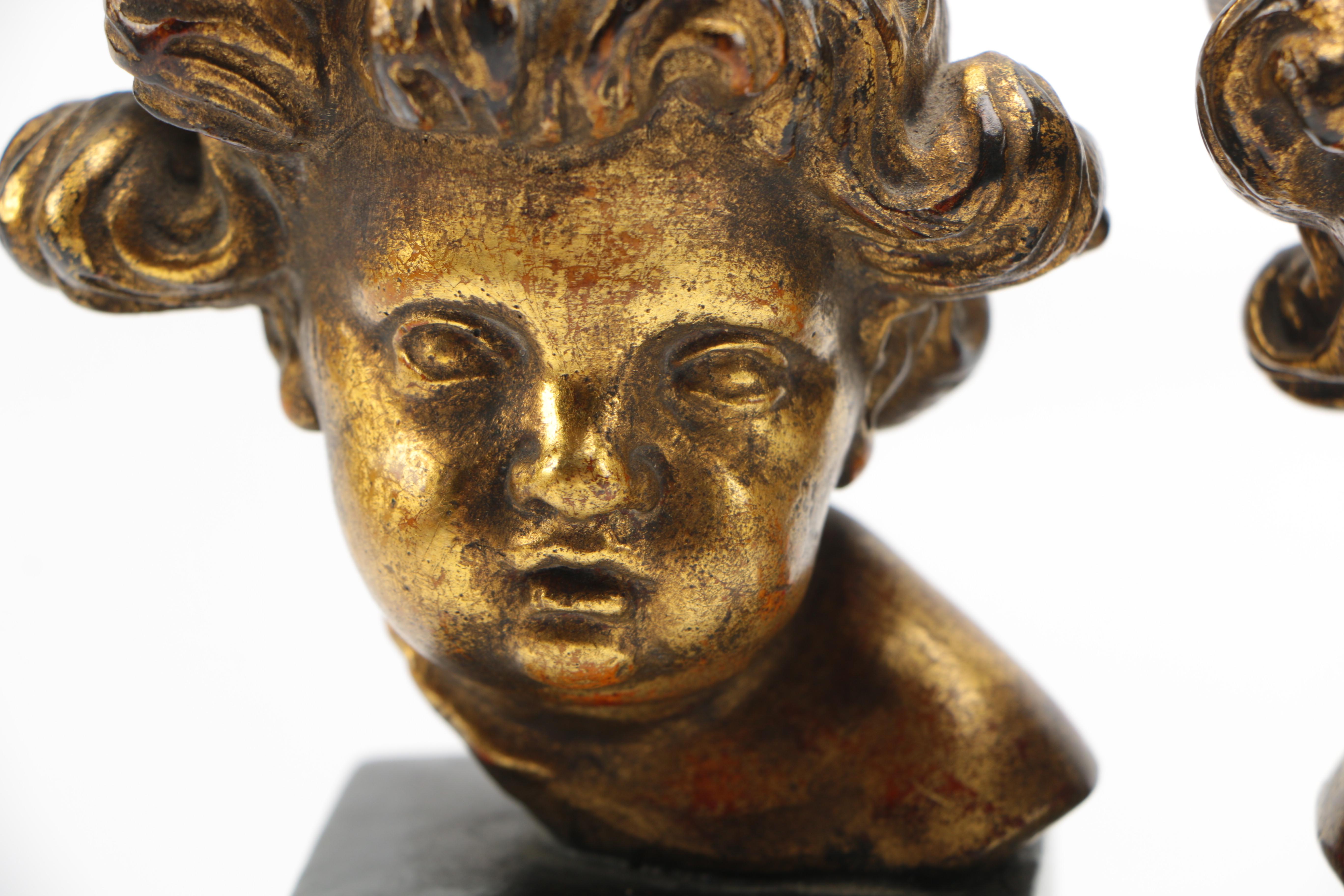 Borghese Cherub Bust Bookends