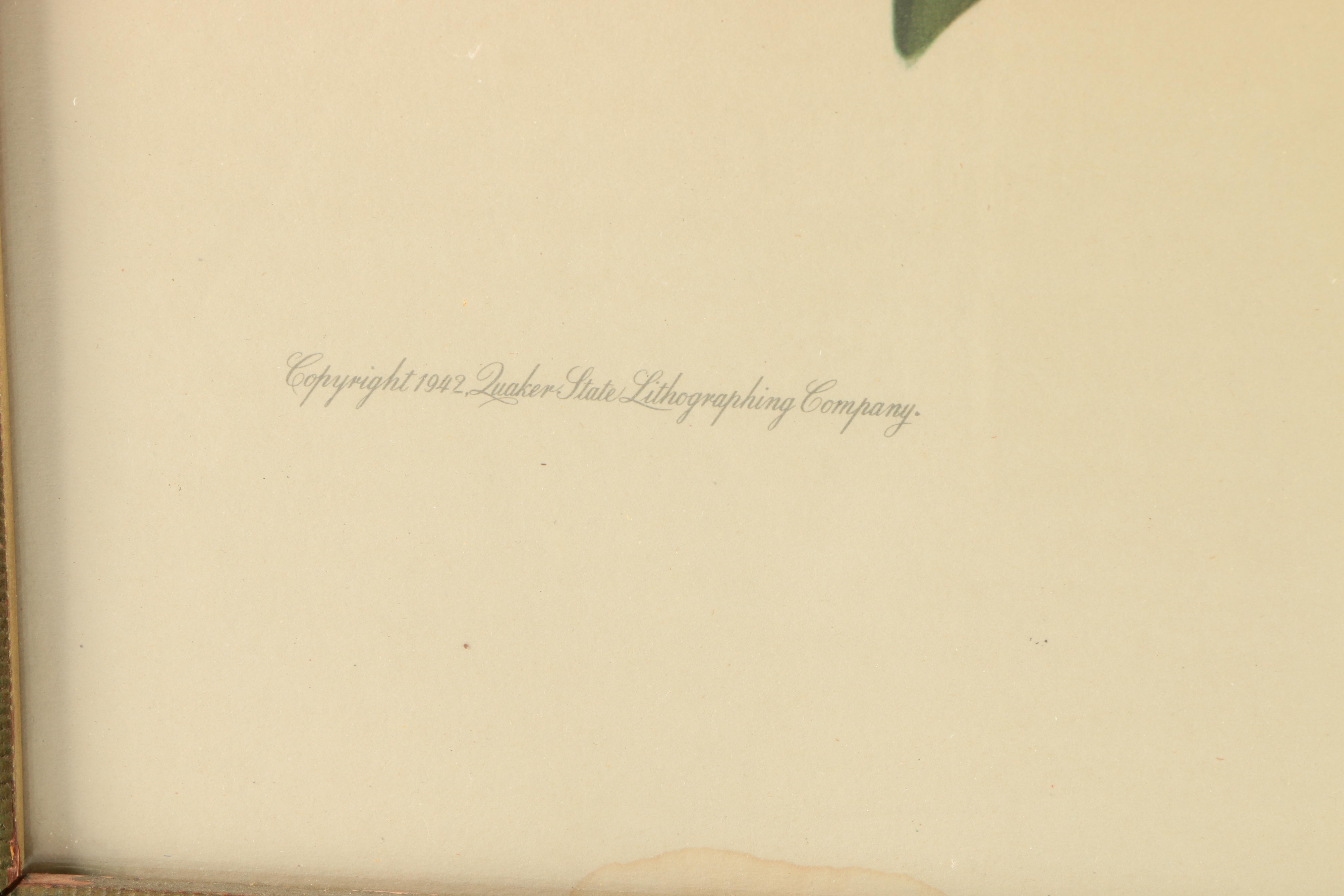 Offset Lithograph After Roger Tory Peterson's Painting "Cardinal No. 2"