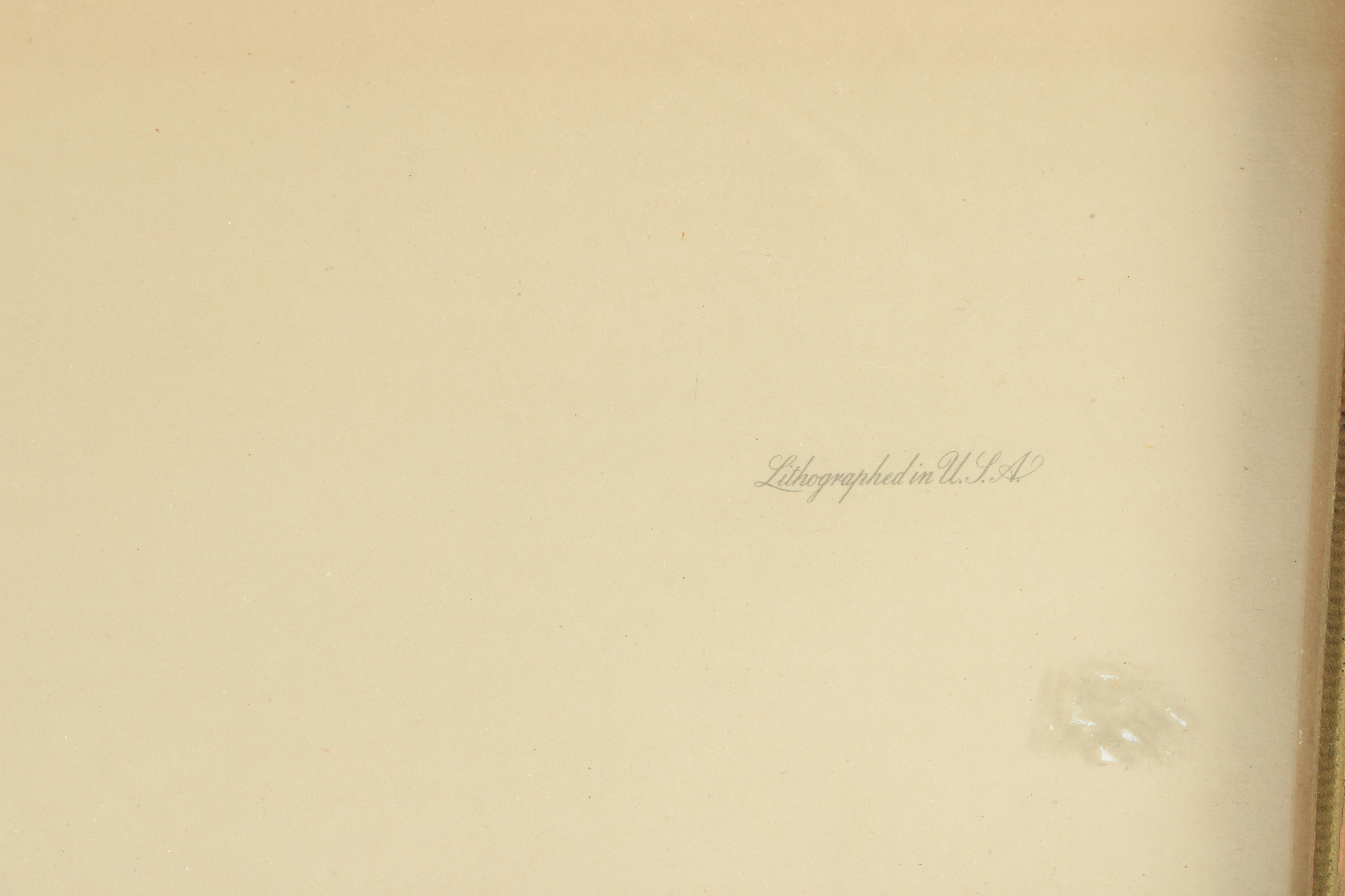 Offset Lithograph After Roger Tory Peterson's Painting "Cardinal No. 2"