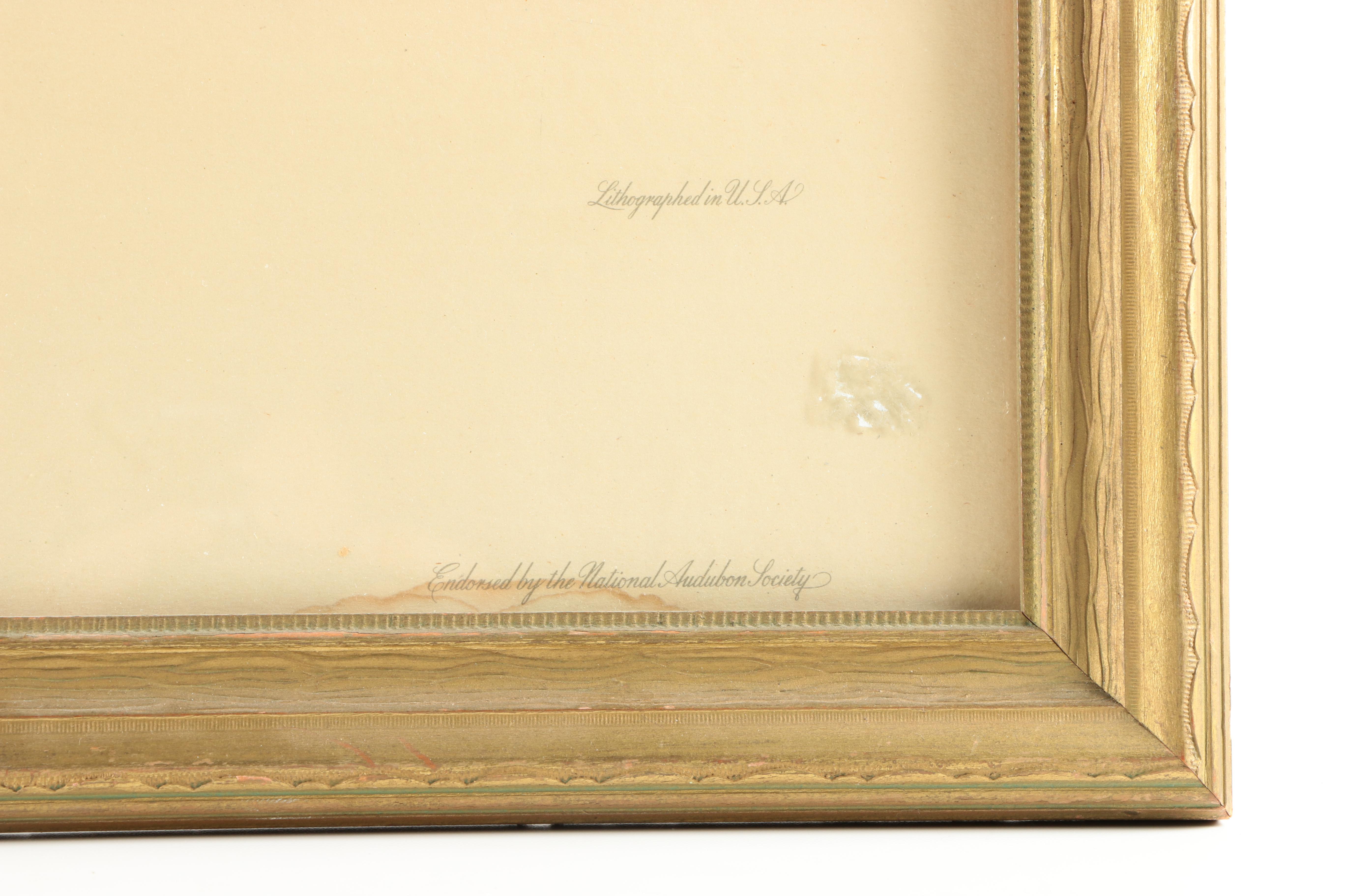 Offset Lithograph After Roger Tory Peterson's Painting "Cardinal No. 2"