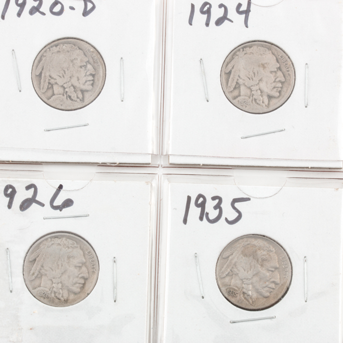 Album Page of Buffalo Nickels, Indian Head Cents and Liberty Head "V" Nickels