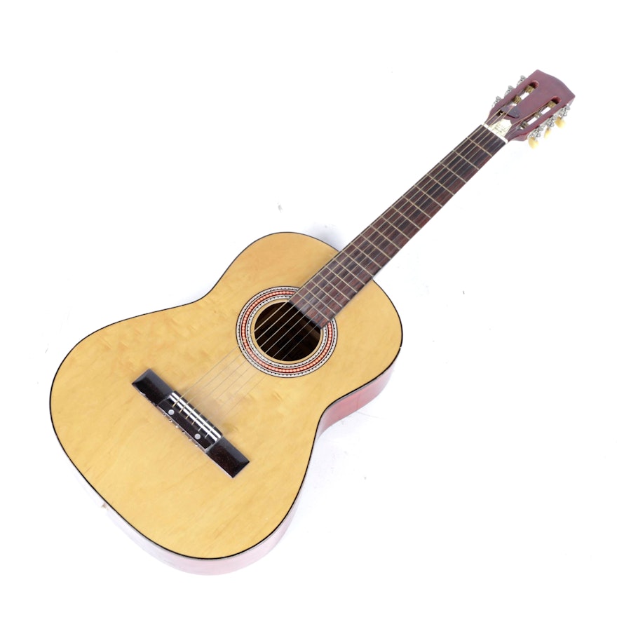 Classical Style Acoustic Guitar