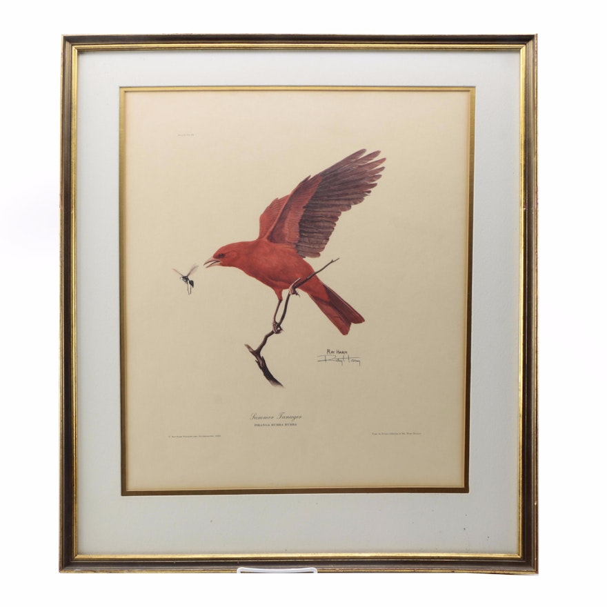 Ray Harm Offset Lithograph on Paper "Summer Tanager"