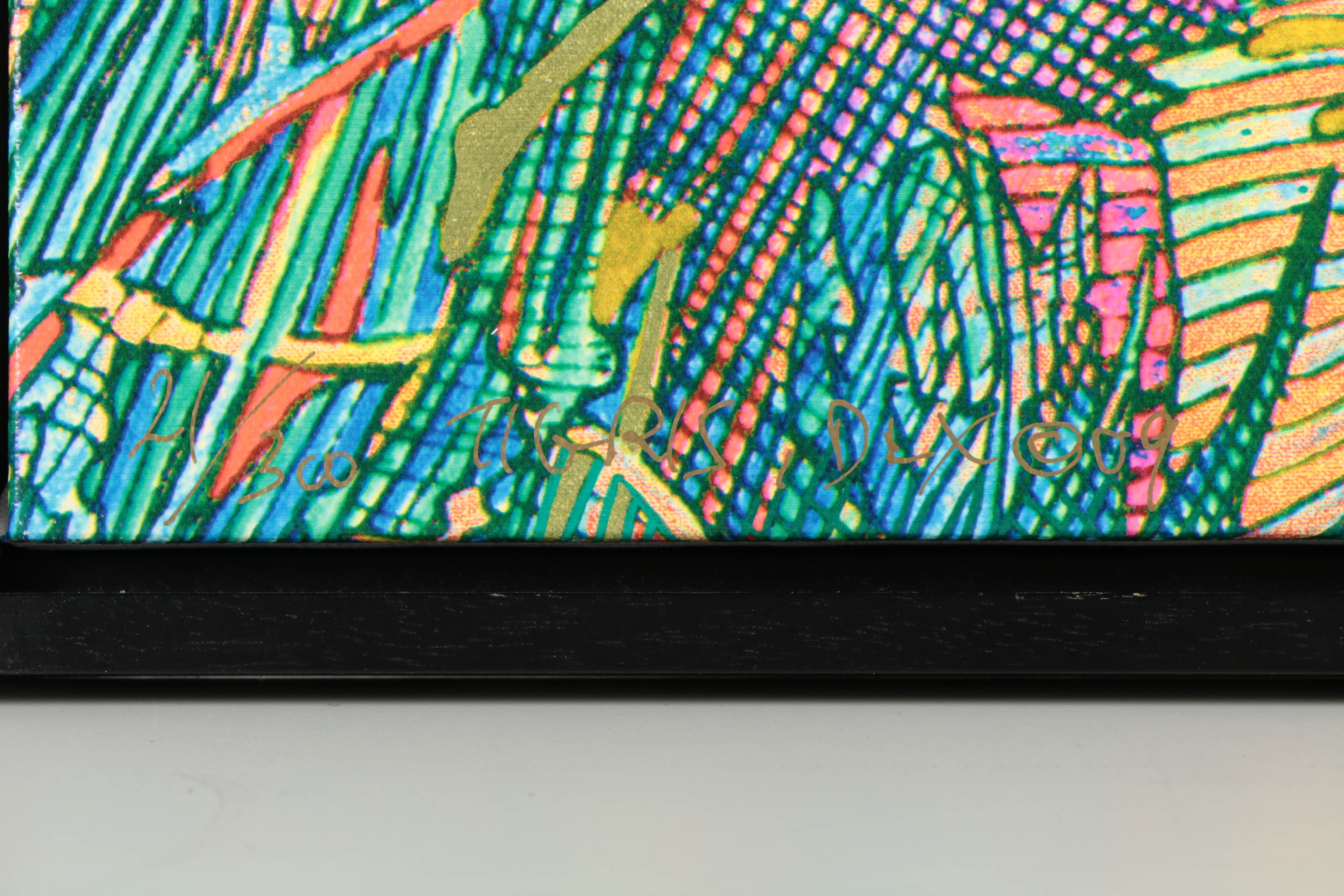 Guillaume Azoulay Limited Edition Giclee on Canvas "Tigris"