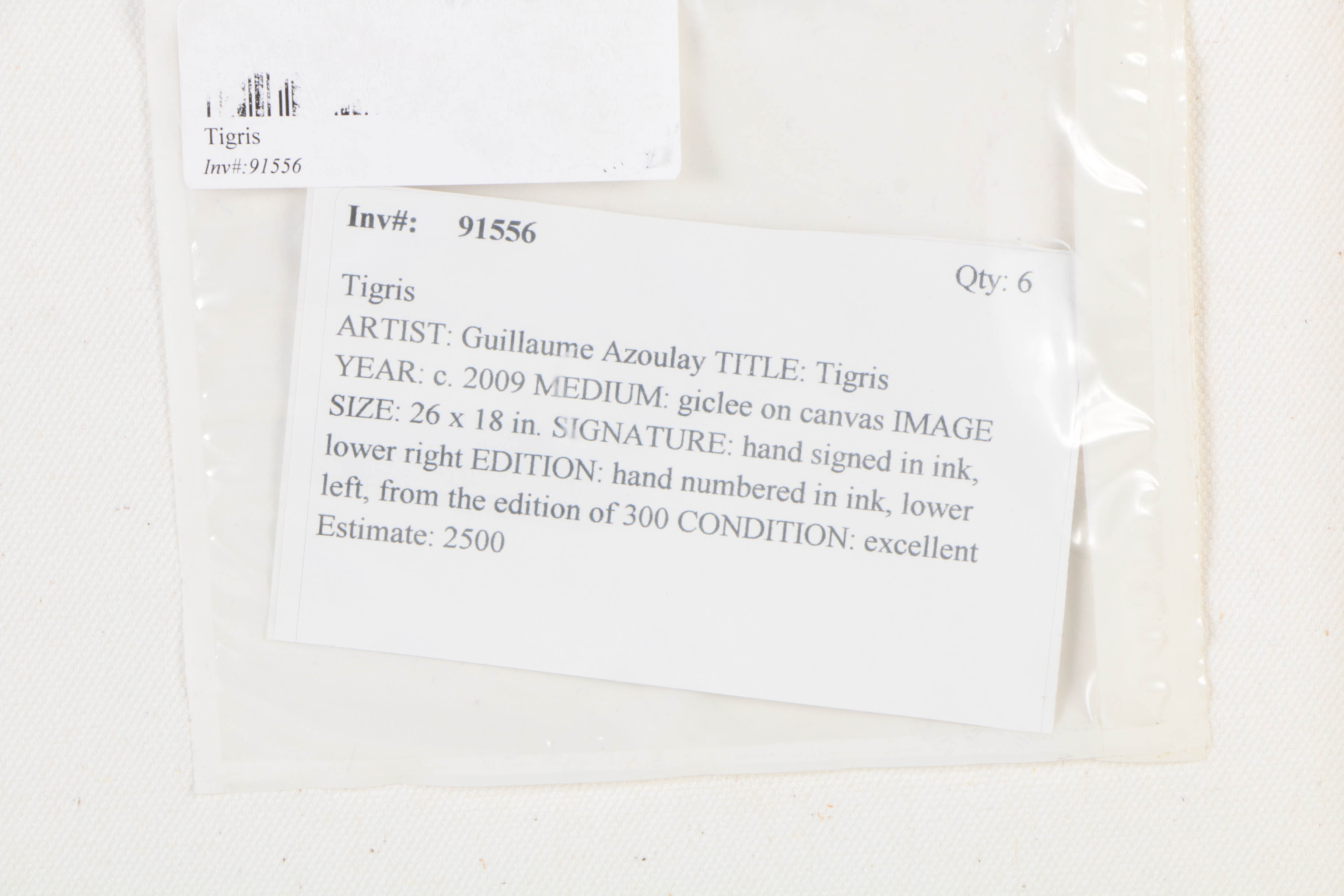 Guillaume Azoulay Limited Edition Giclee on Canvas "Tigris"