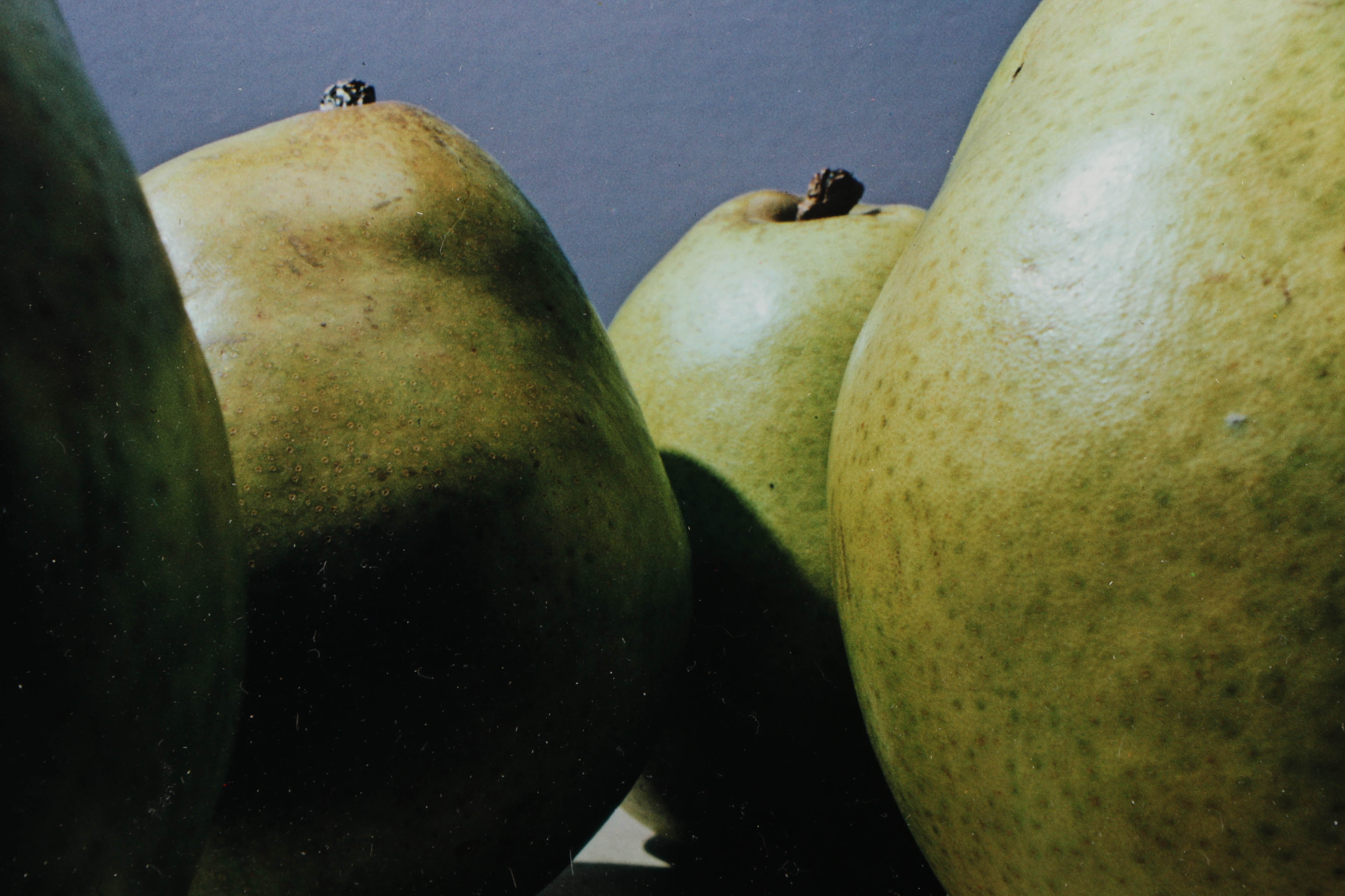 Peter Dechar Limited Edition Giclee on Paper "Pears"