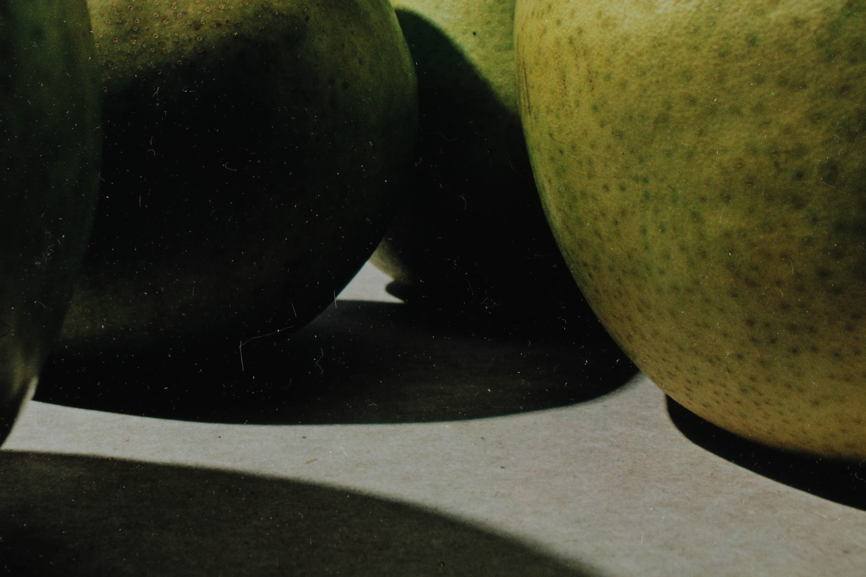 Peter Dechar Limited Edition Giclee on Paper "Pears"