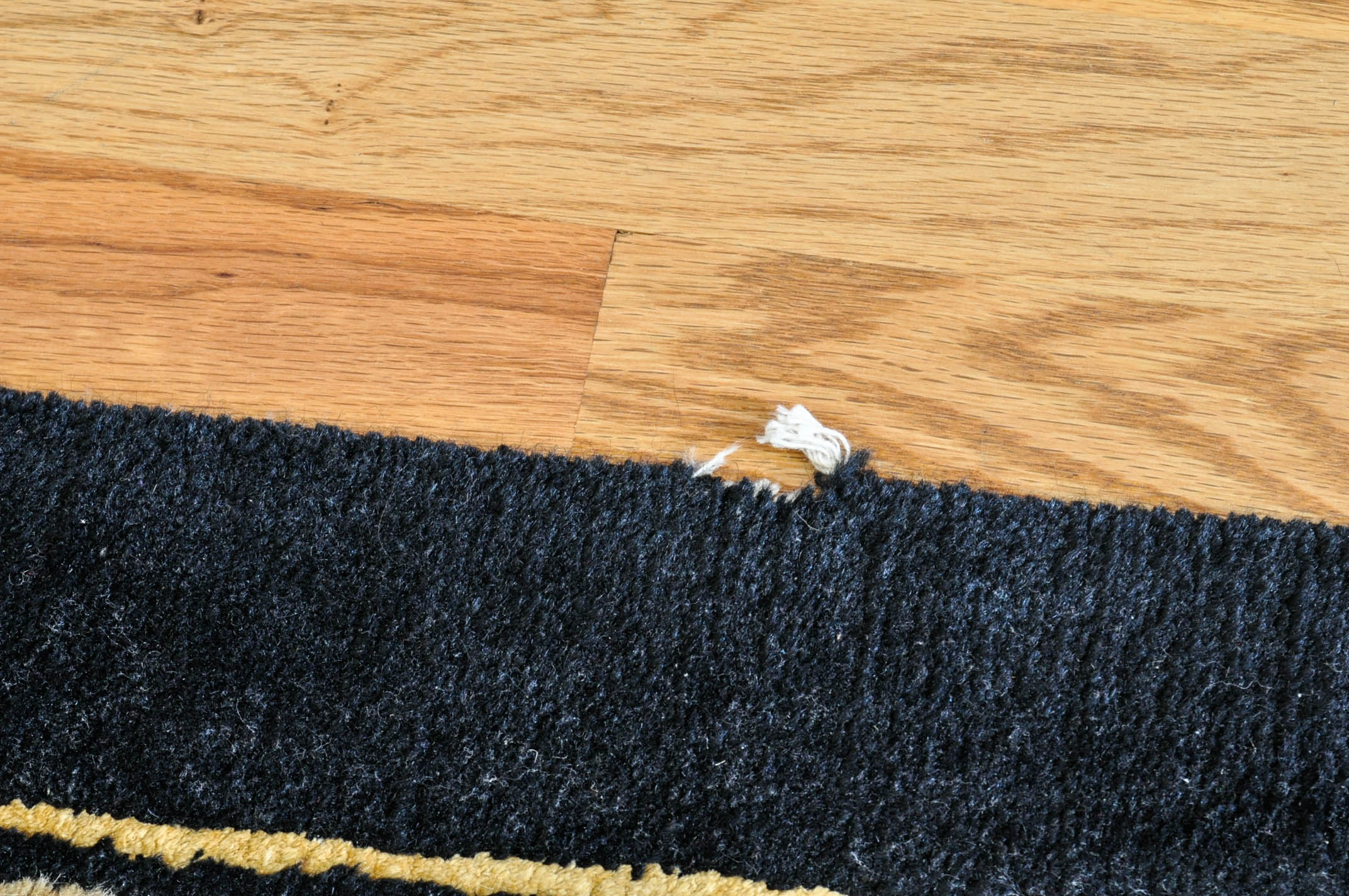 Hand-Knotted Chinese Area Rug