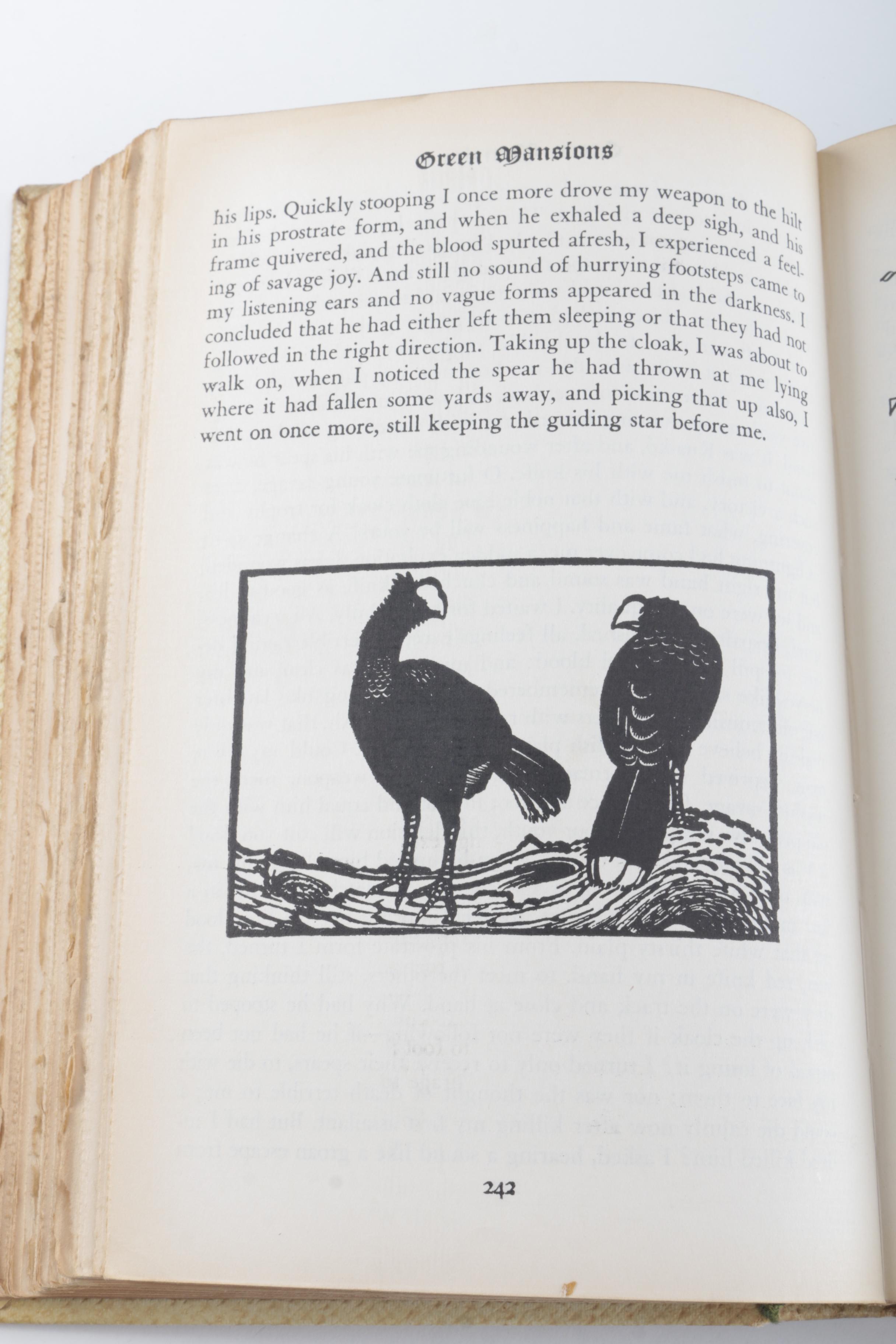 1930s "Green Mansions: The Purple Land" by W. H. Hudson and Illustrated by Keith Henderson